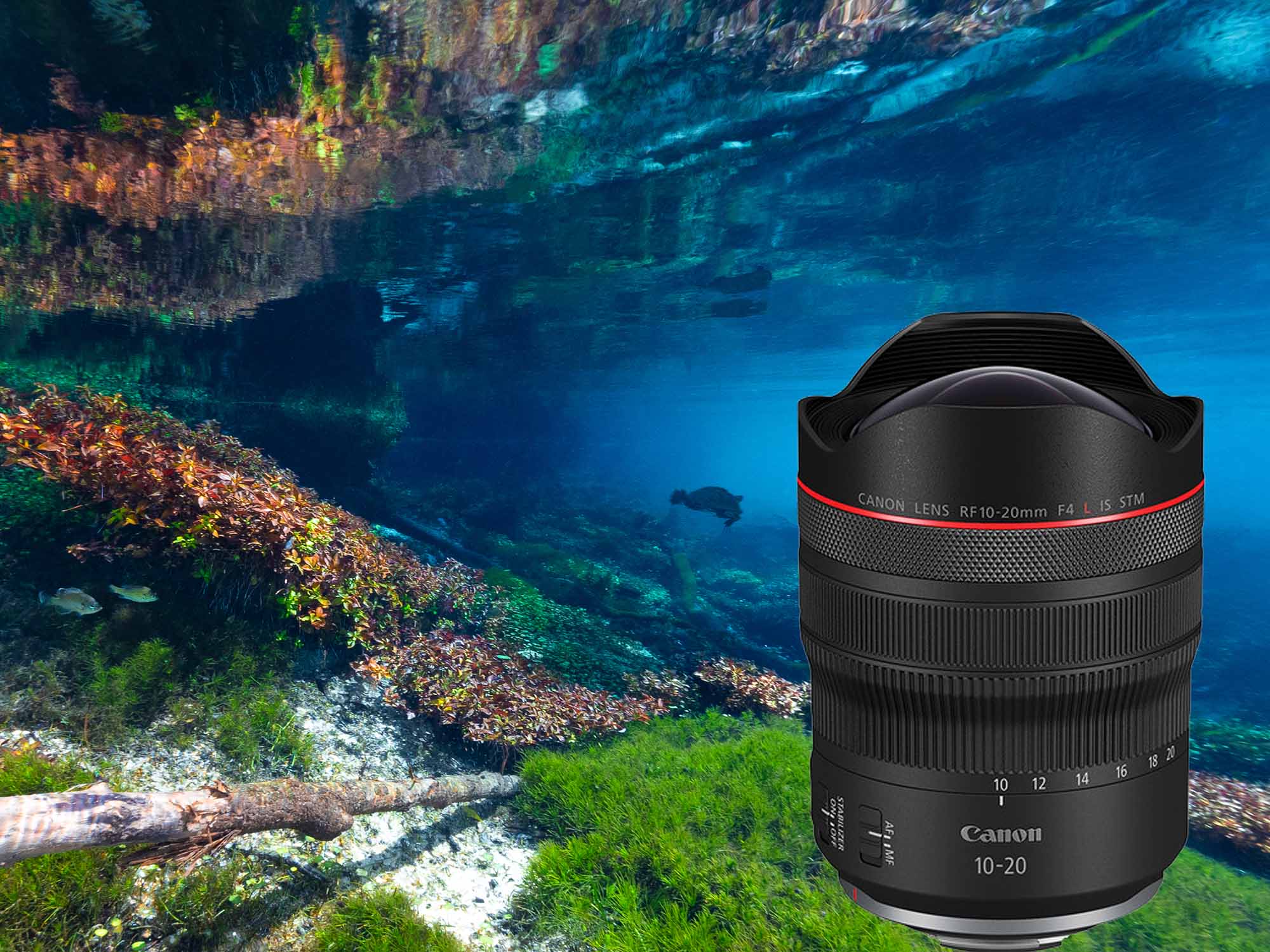 Canon 10-20mm in Ikelite Underwater Housing copyright Bill Hawthorne