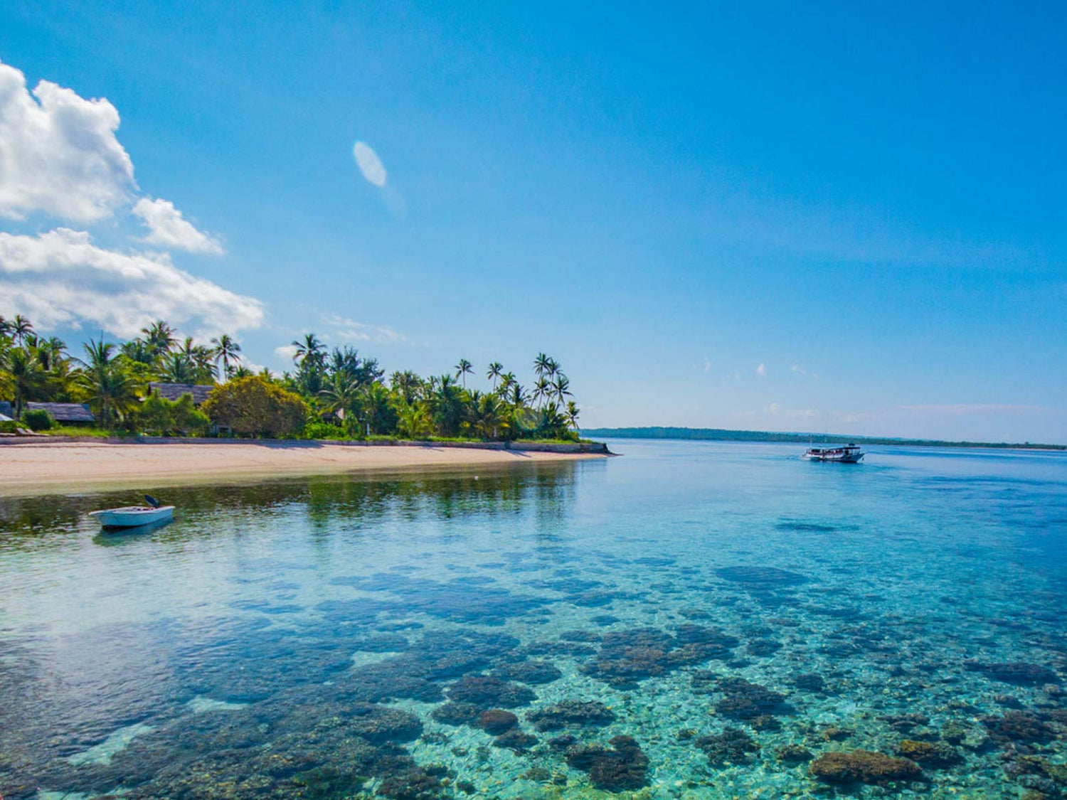 Expedition | Wakatobi Resort Indonesia | March 2-16, 2020