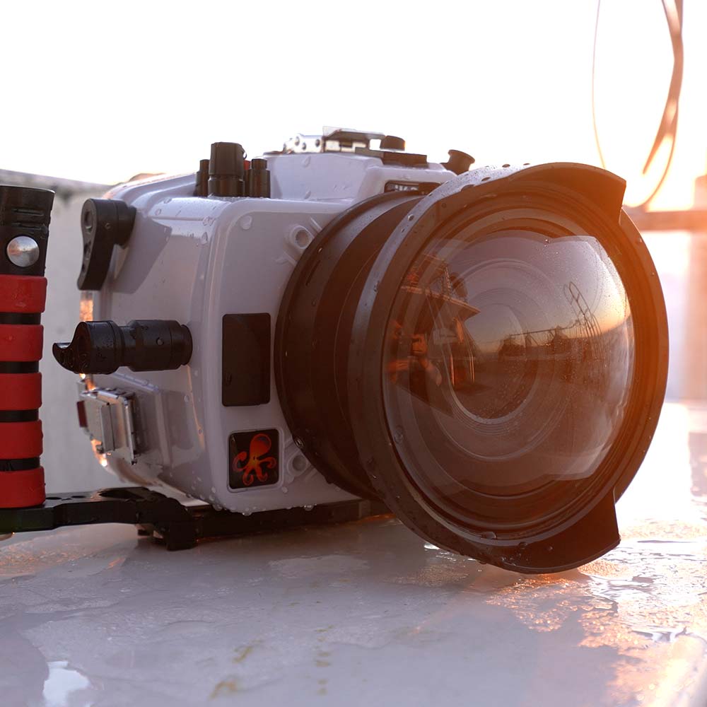 Mirrorless + DSLR Camera Housings
