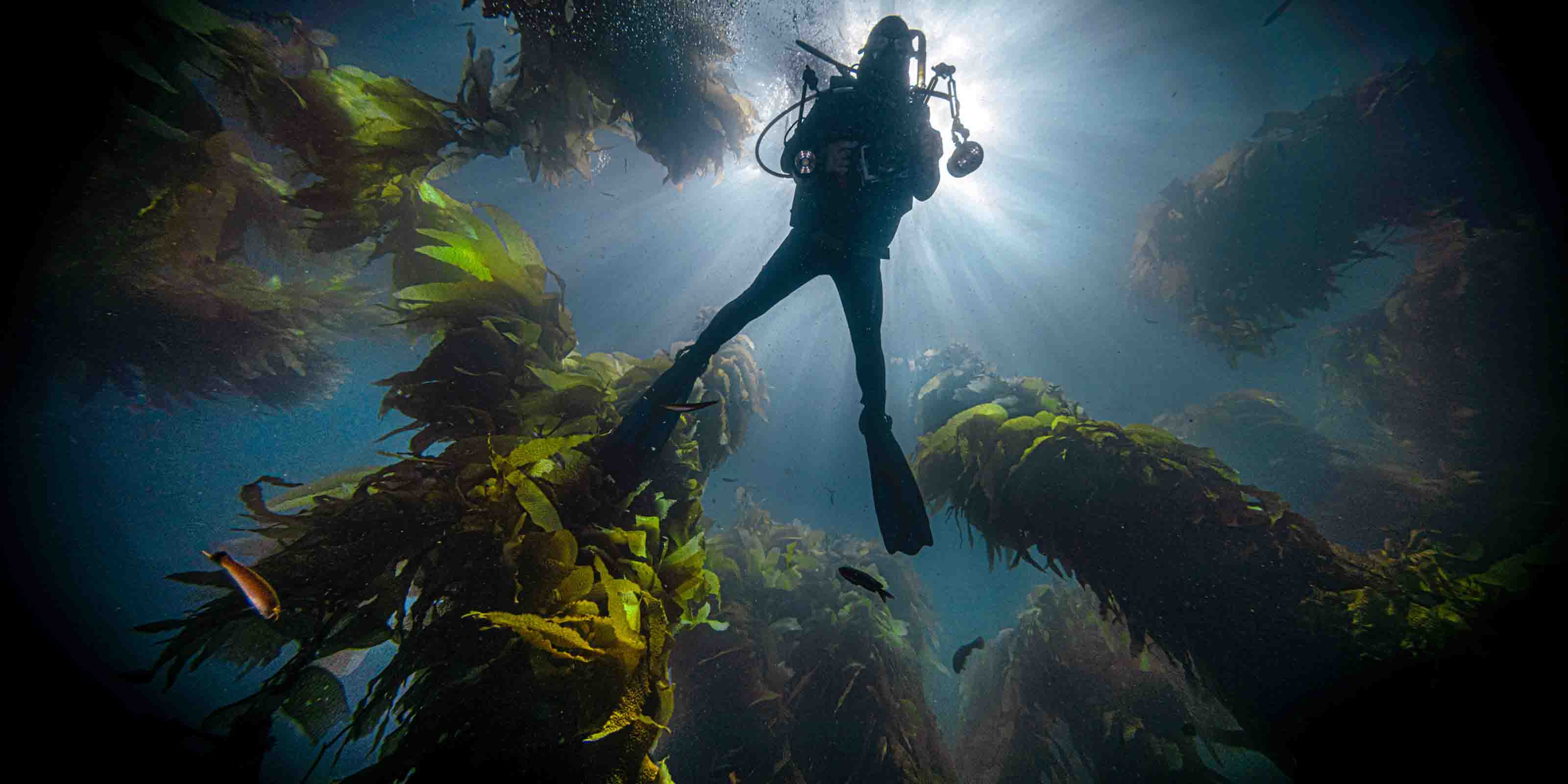 Top Cameras Underwater