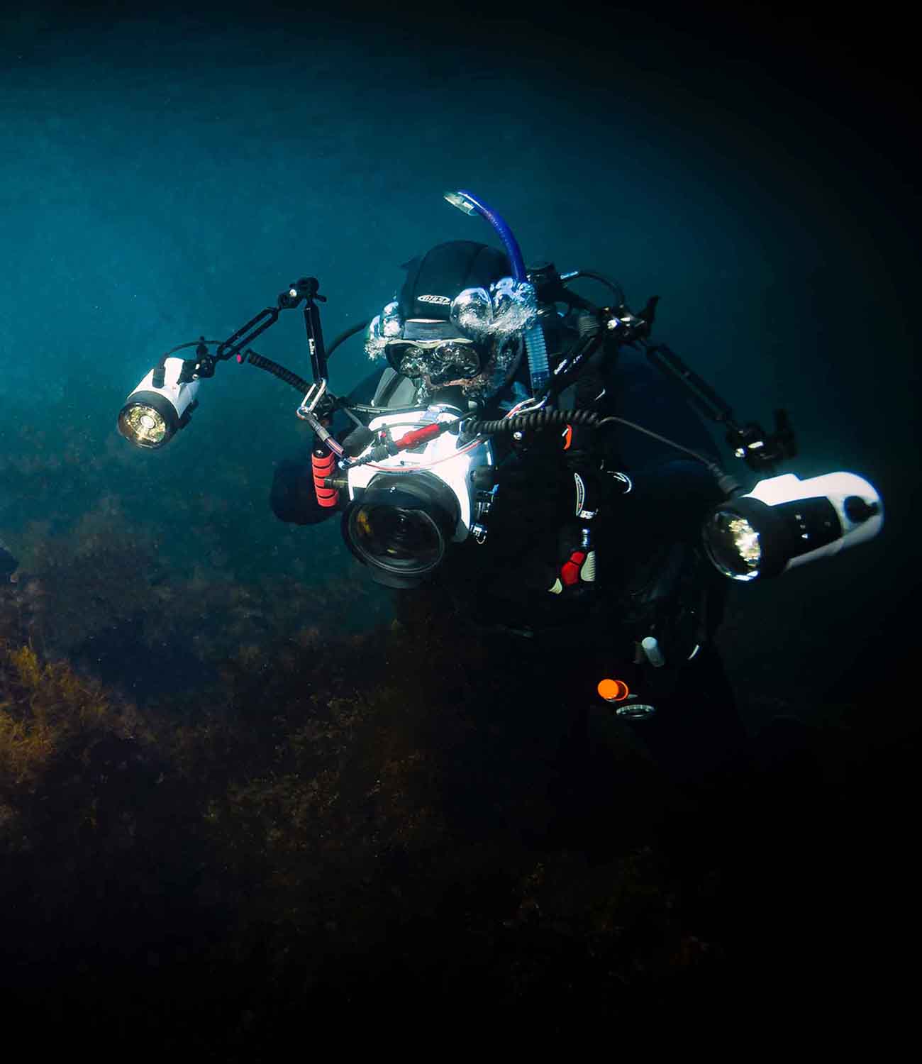 Ikelite underwater housings for Canon EOS R5 and EOS R6 diving off the coast of Catalina Island California