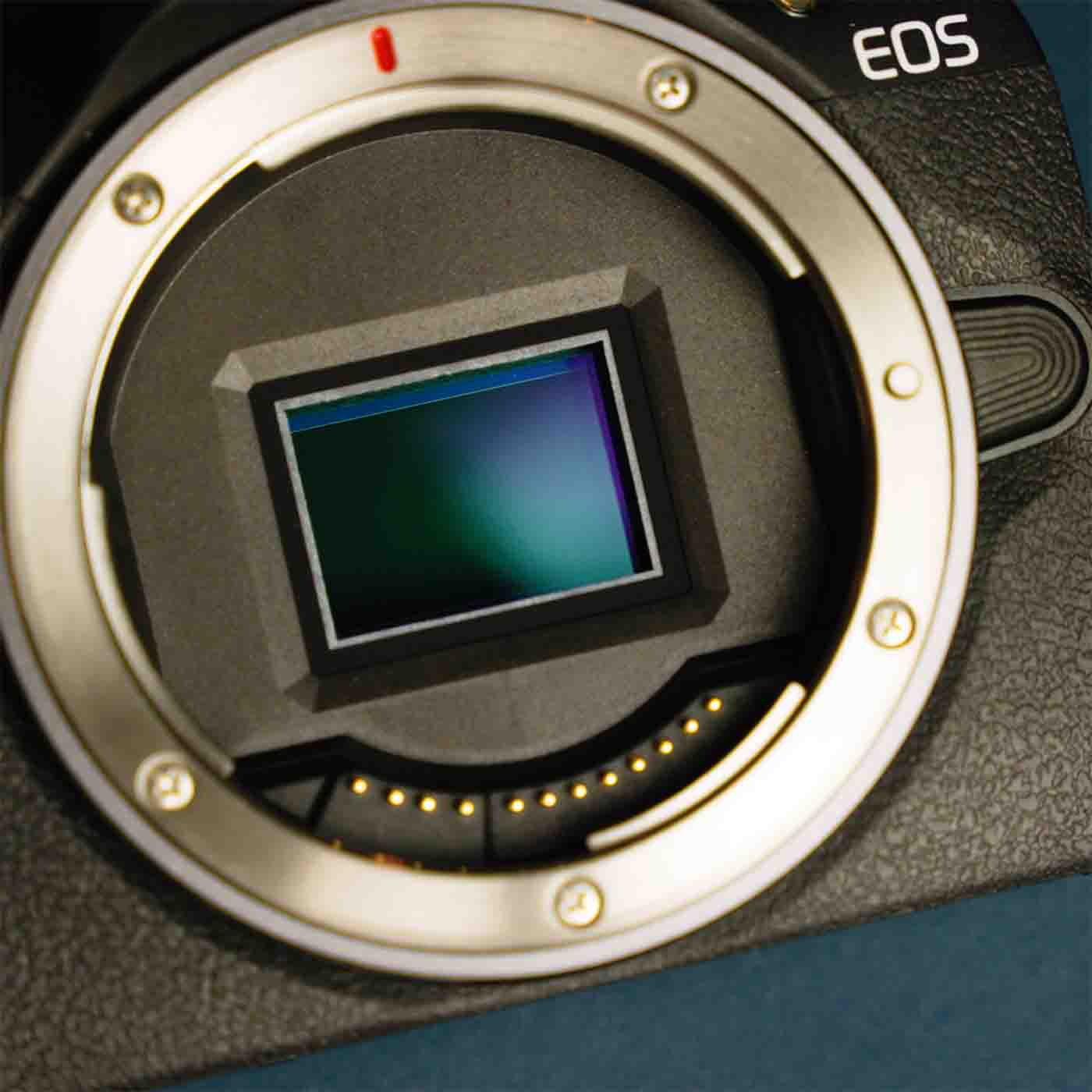 Canon EOS R100 24 megapixel APS-C sensor