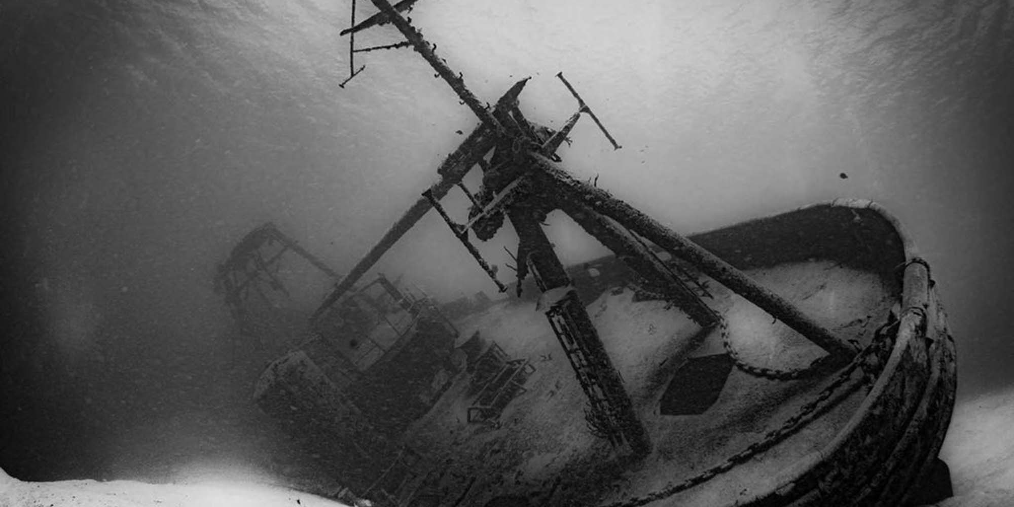 Taken with Ikelite Housing for Canon Rebel SL3 250D copyright John Brigham