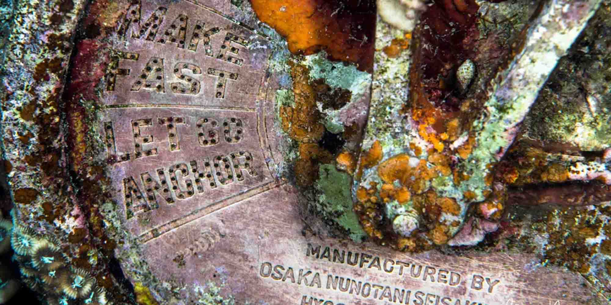 Ikelite underwater housing for Nikon D850 copyright Brandi Mueller