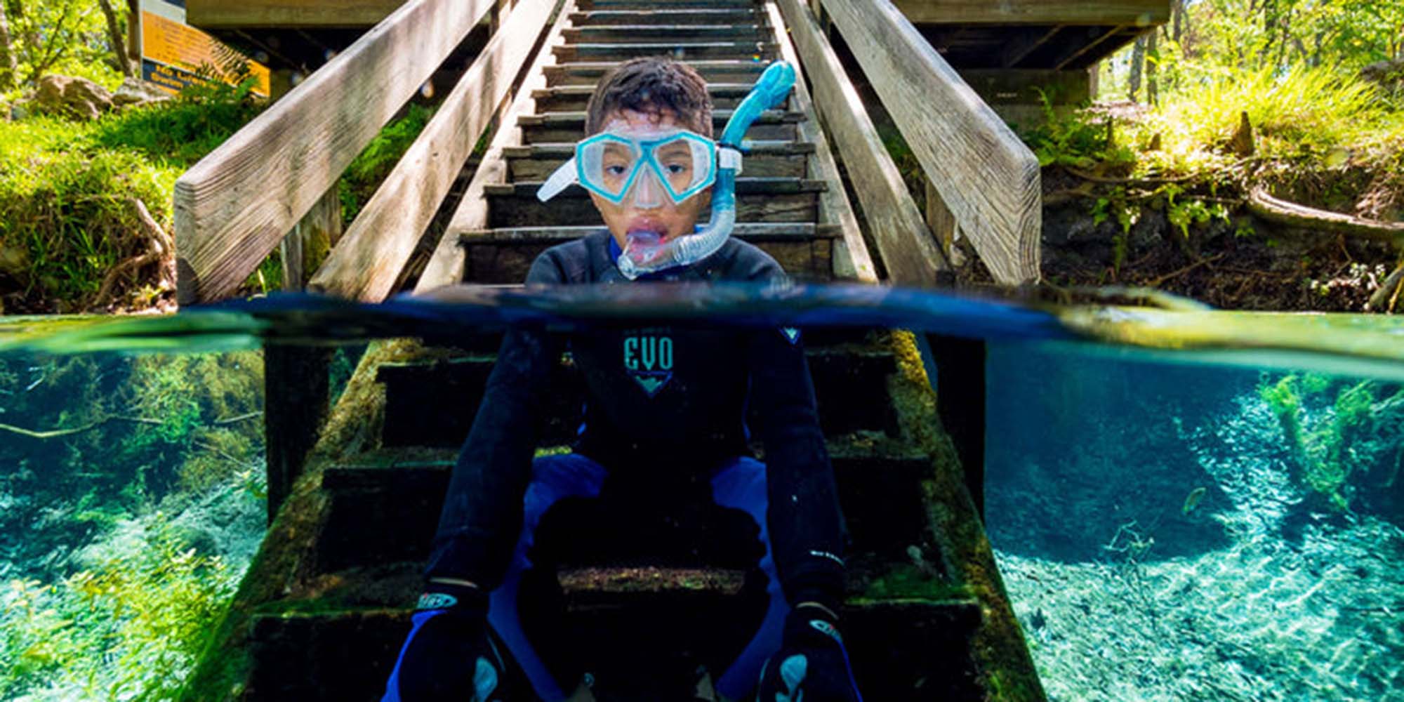 Taken with Ikelite Housing for Olympus OM-D E-M1 Mark II Copyright Phil Rudin