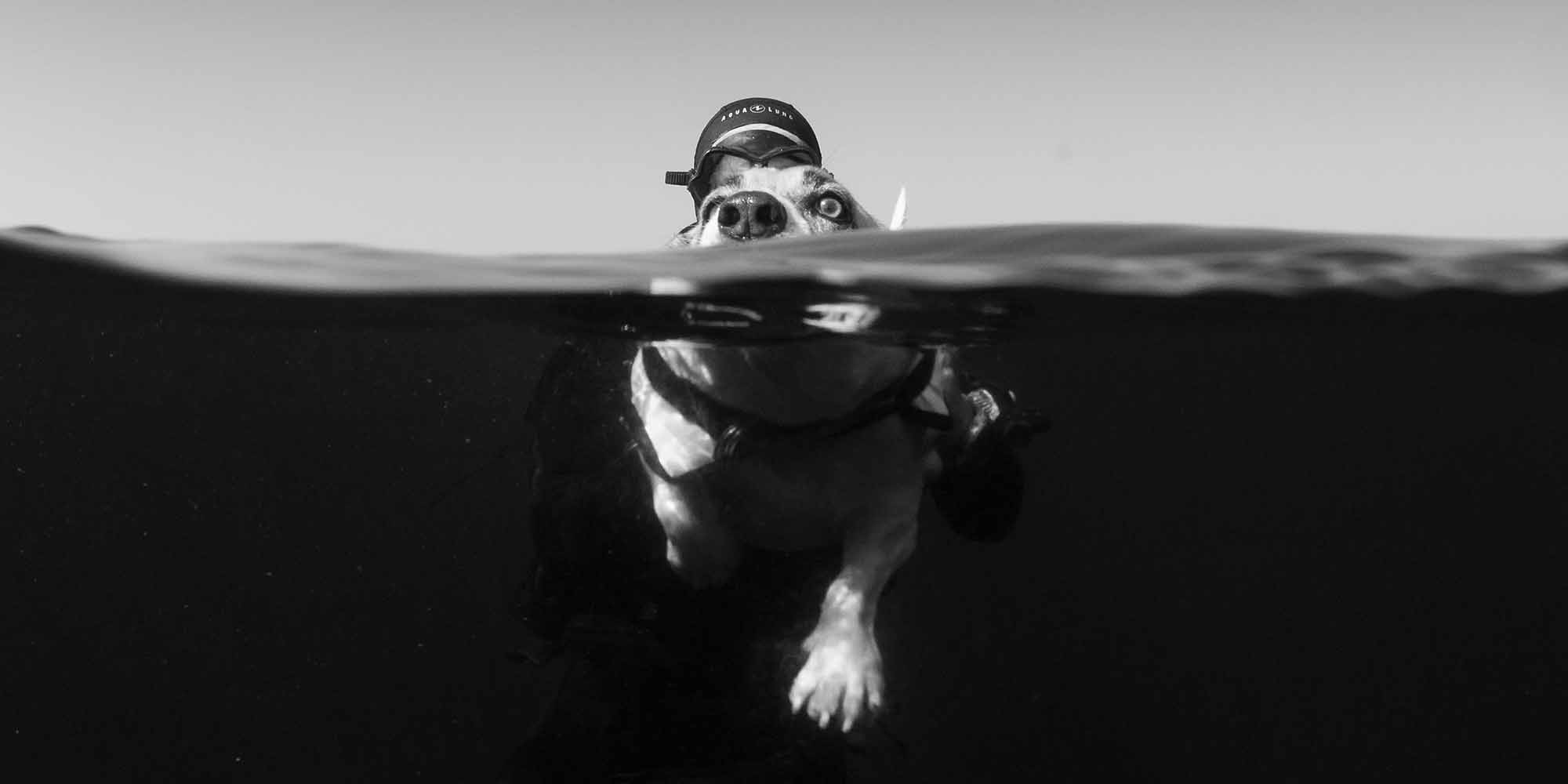 Ikelite underwater housing for Panasonic GH6 copyright Matt Jacobs