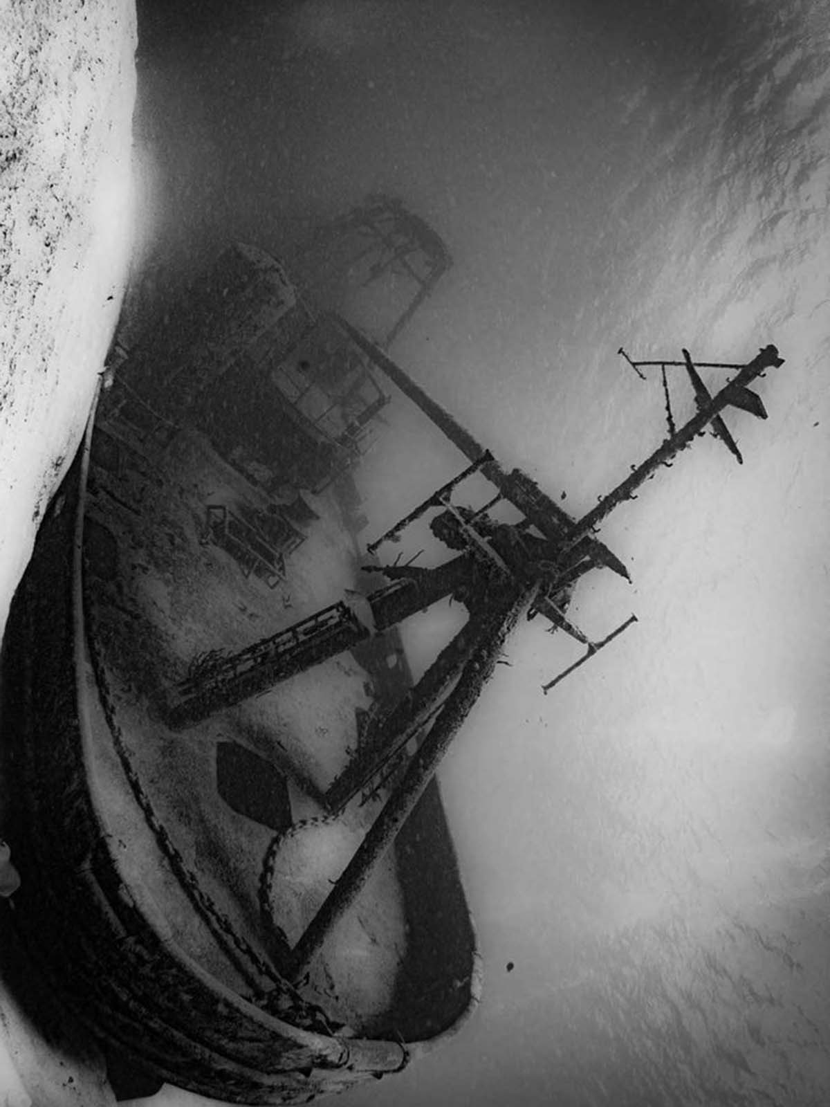 Taken with Ikelite Housing for Canon Rebel SL3 250D copyright John Brigham