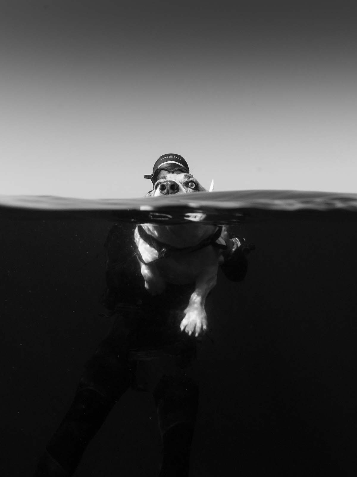 Ikelite underwater housing for Panasonic GH6 copyright Matt Jacobs