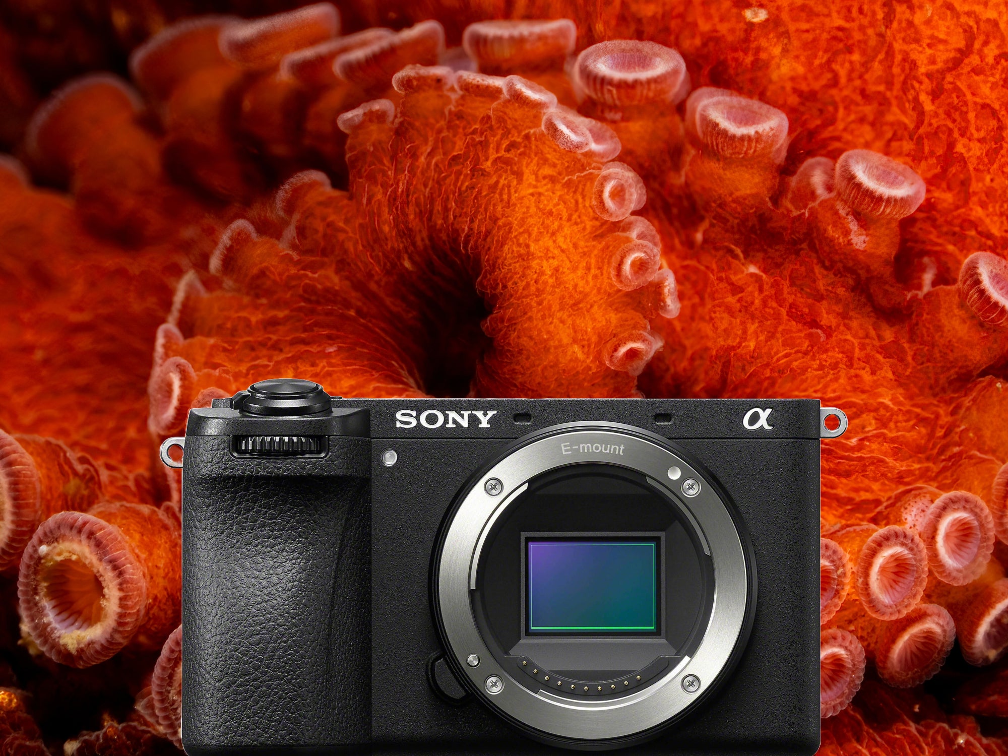 Underwater Housing for Sony a6700 Mirrorless Camera