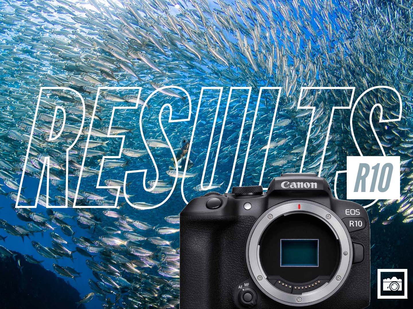 Canon EOS R10 Underwater in La Paz Mexico / Bahamas / Florida [VIDEO]
