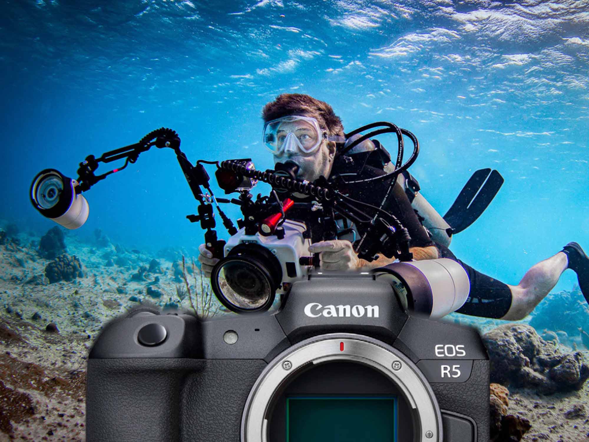 Canon R5 Underwater A-Z // Performance and Specifications [VIDEO]