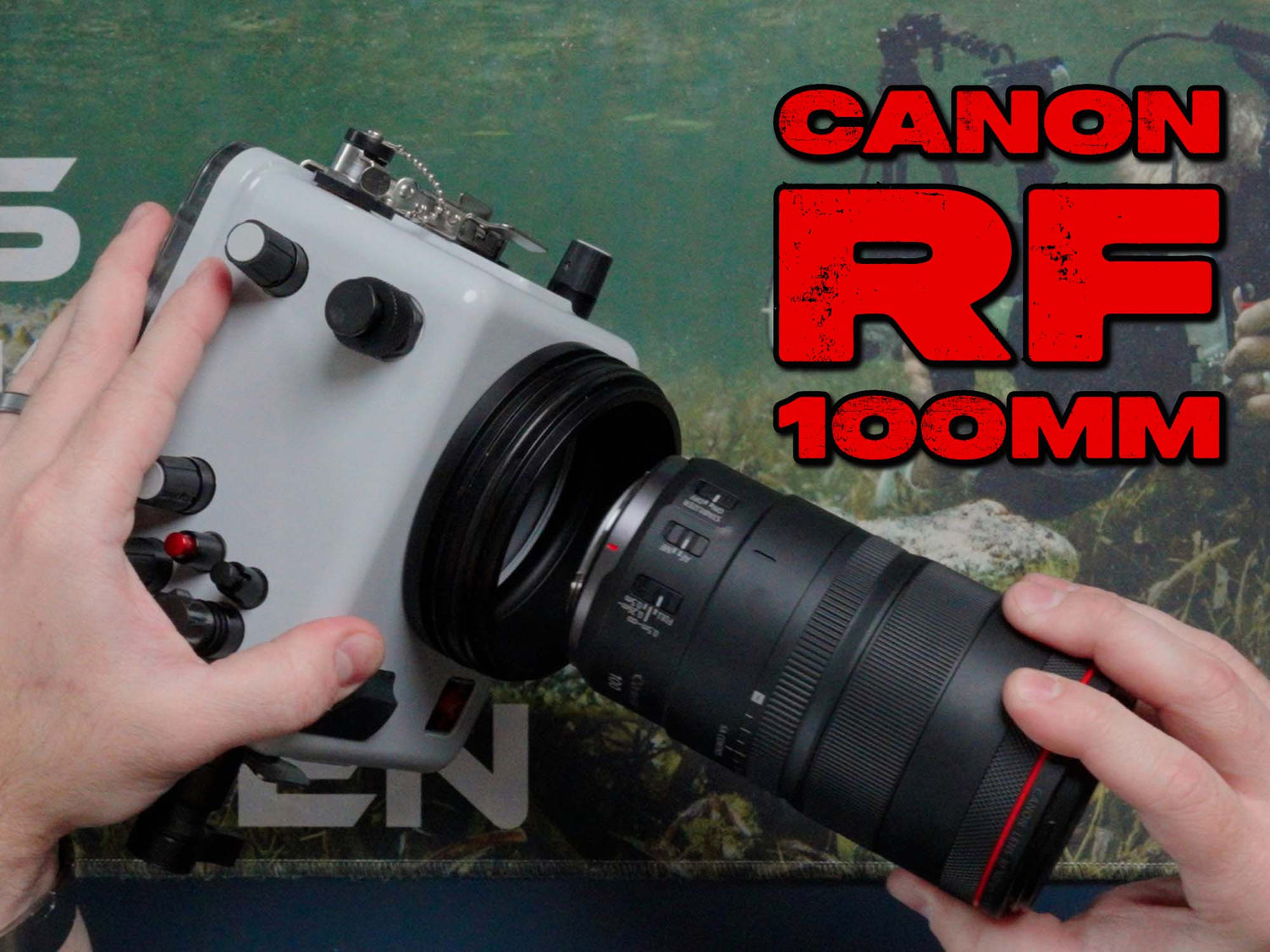 Canon RF 100mm Macro Assembly // 200DLM/D Underwater Housing [VIDEO]