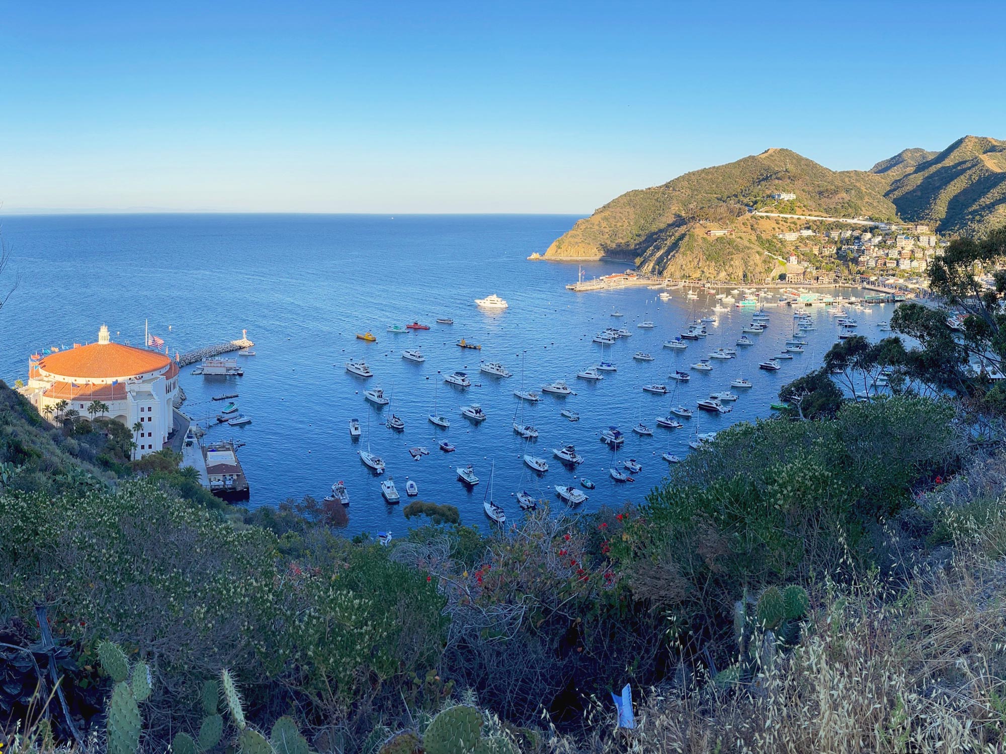 Diving and Visiting Catalina Island [VIDEO]