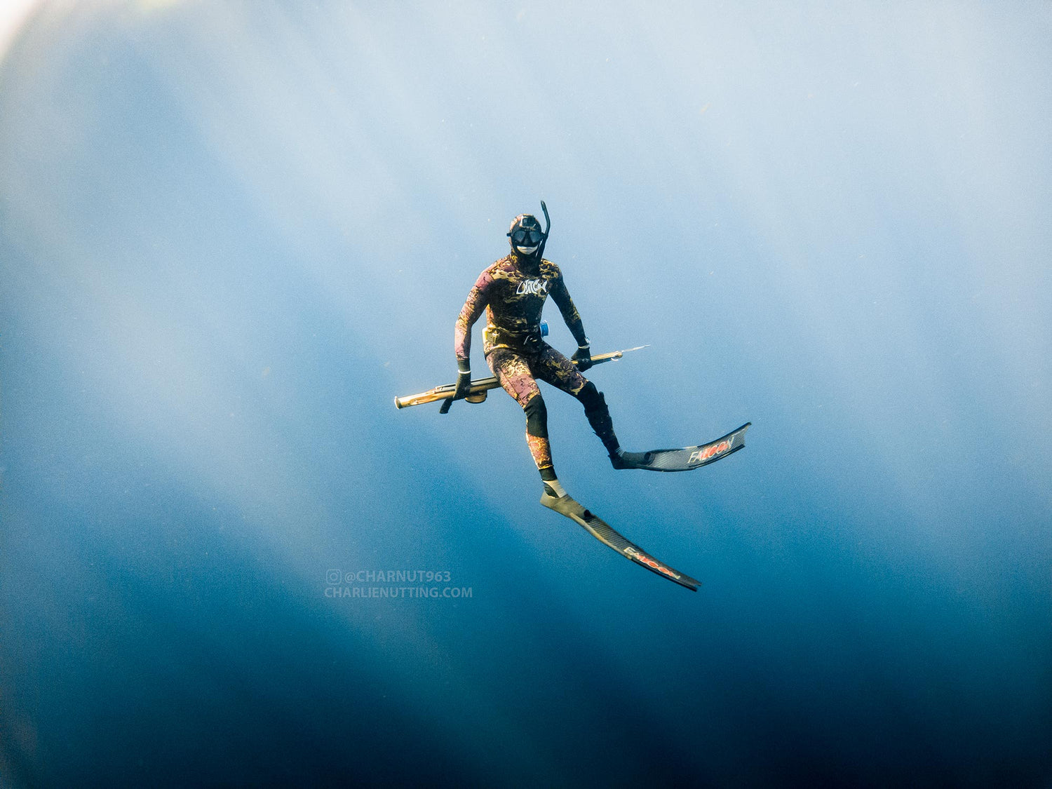 Featured Customers | Charlie Nutting Freediving the Northeast and Beyond