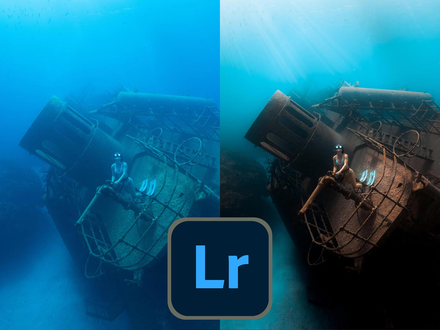 Setting the Tone: Color Grading for Underwater Photography