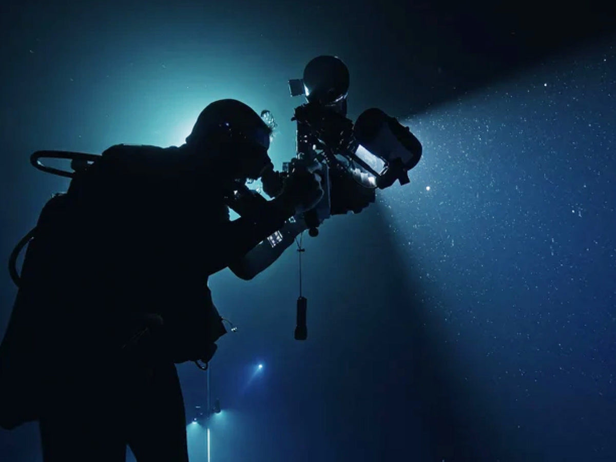 What to Expect When Shooting Underwater at Night [VIDEO]