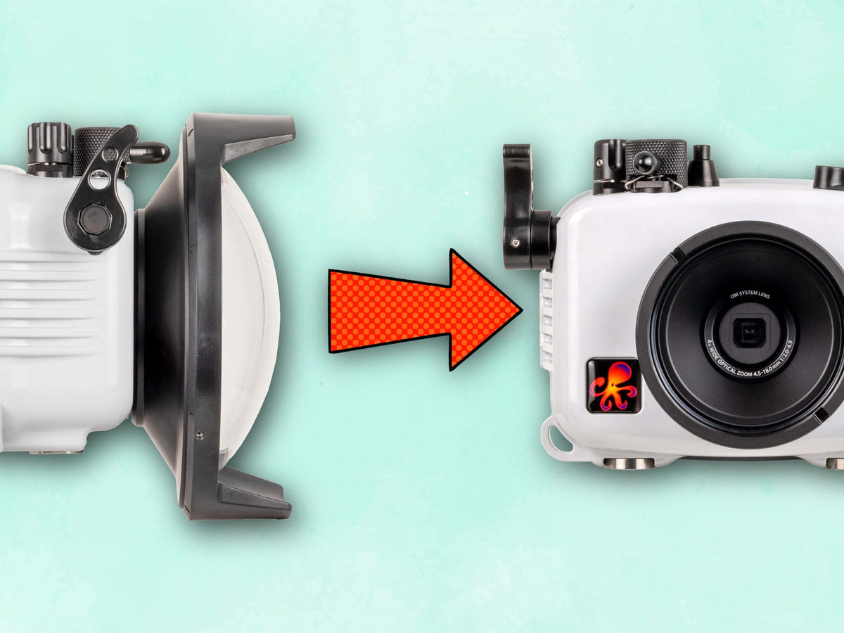 Installing the Flat Port for OM System TG-7, TG-6 Underwater Housing [VIDEO]