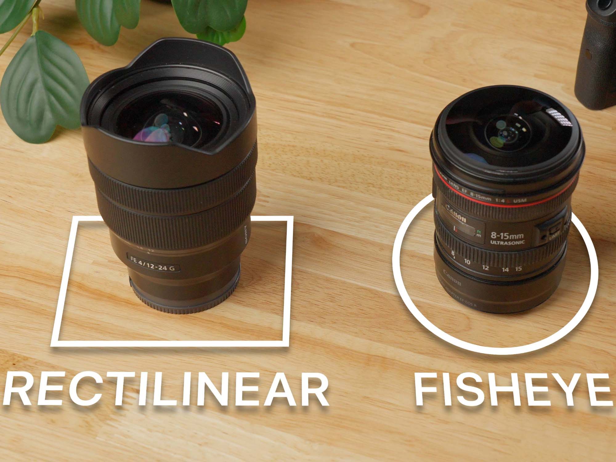 Rectilinear vs Fisheye Lenses for Underwater Wide Angle Photography [VIDEO]