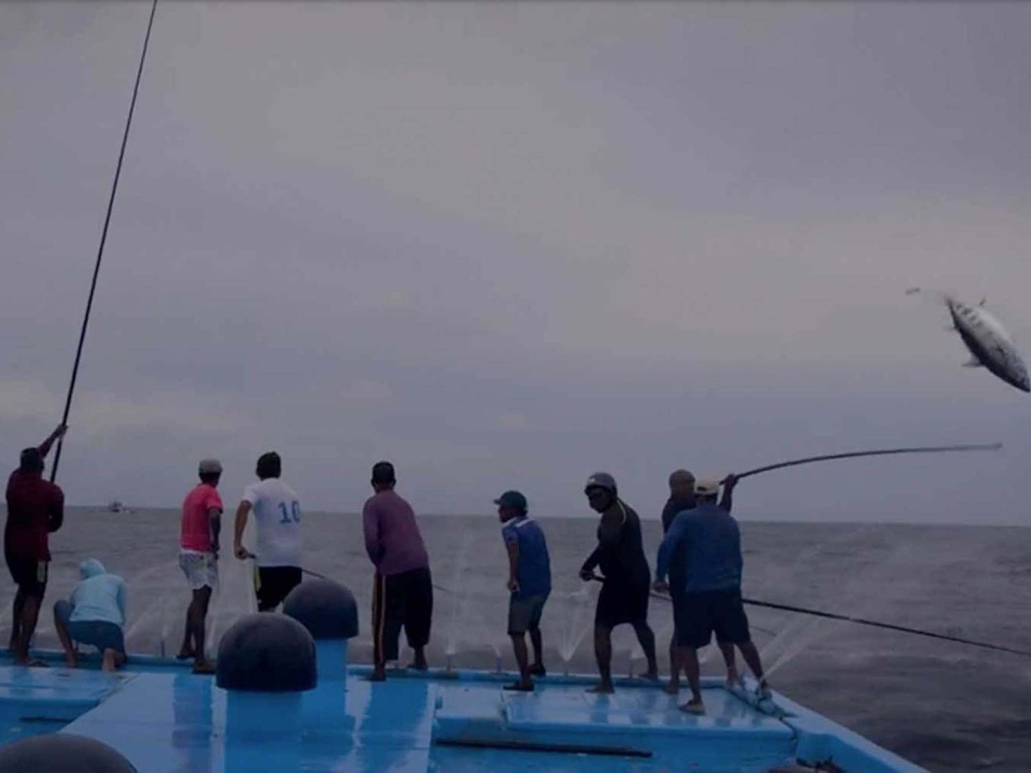 The Impact of the Fishing Industry on the Maldives [VIDEO]