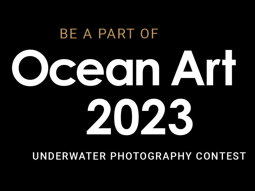 Ocean Art 2023 Competition Now Accepting Entries