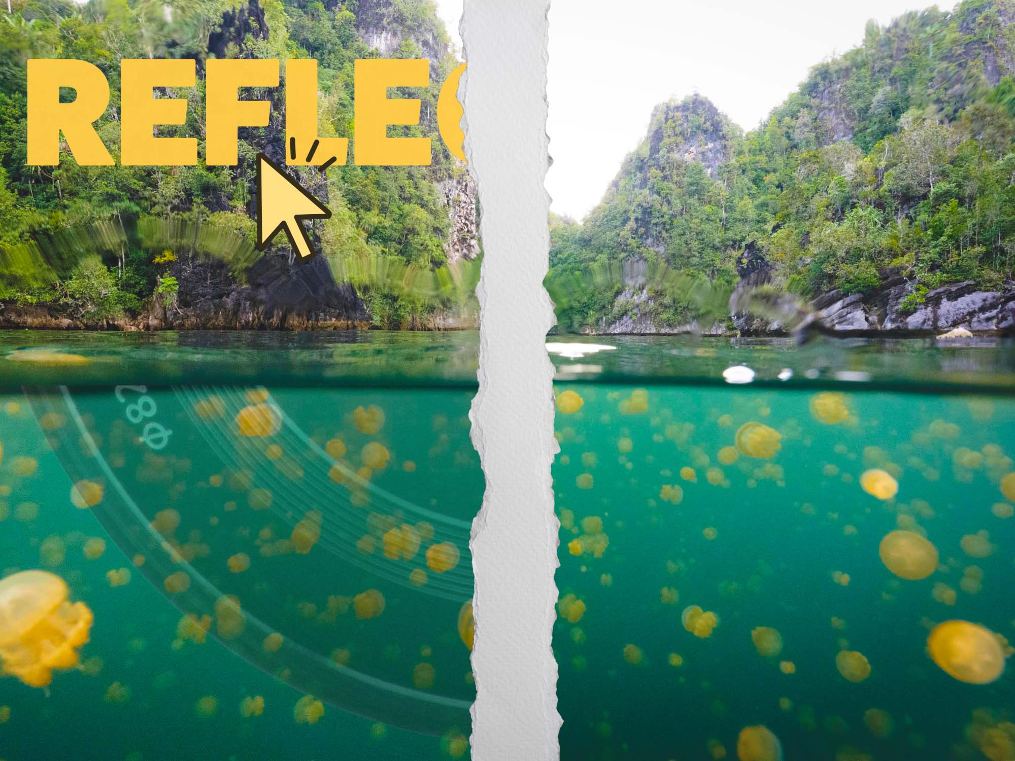 Removing reflections using Adobe Camera Raw featuring Logan Wood for Ikelite Underwater Systems