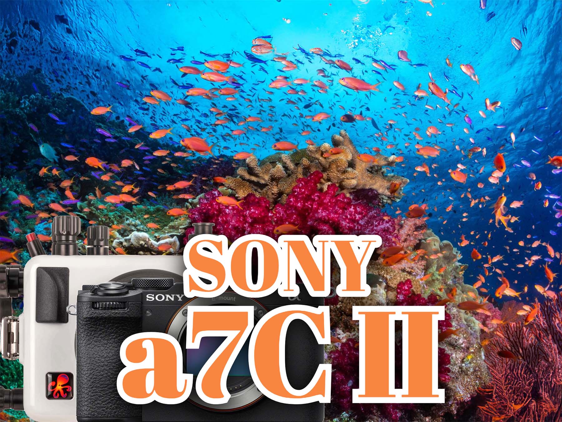 Sony a7C II Underwater in Fiji // Ikelite 200DLM/A Underwater Housing [VIDEO]