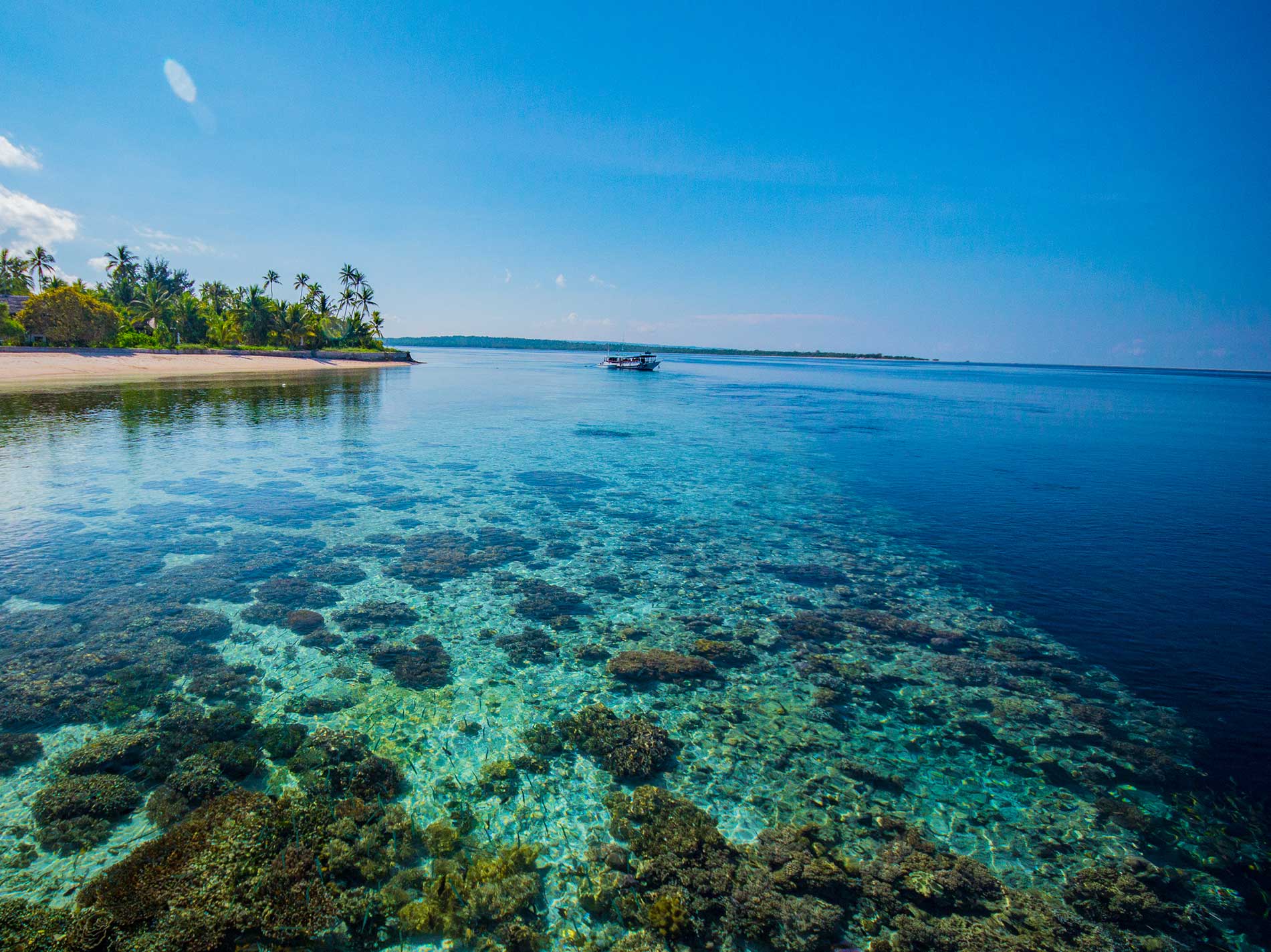 Wakatobi Resort Reopens Post-COVID