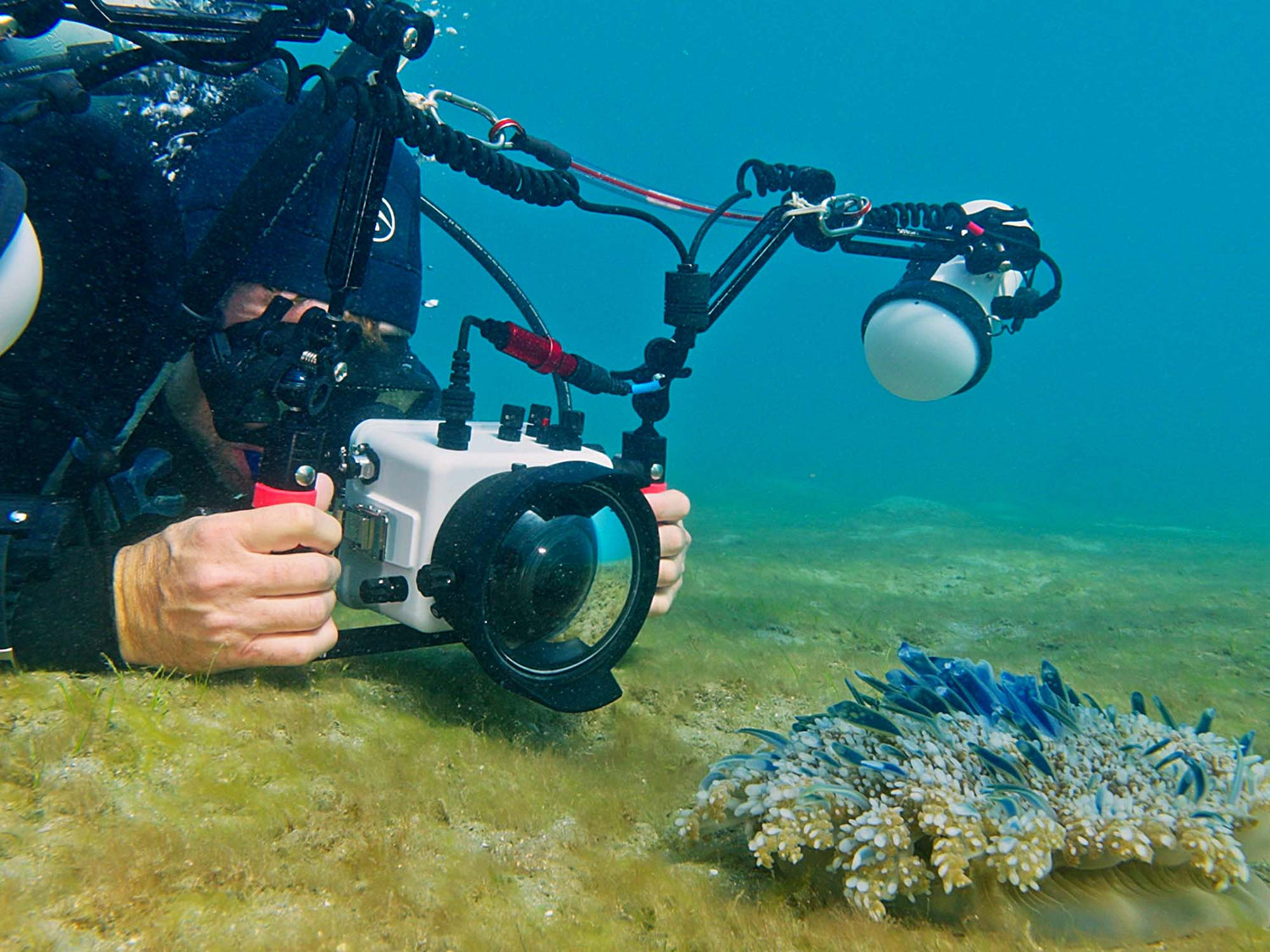 Tips for Diving with an Underwater Housing for Beginners [VIDEO]