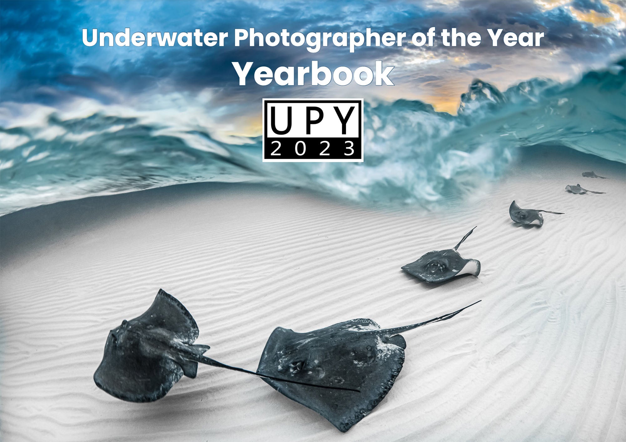Behind the Shots: Underwater Photographer of the Year 2023