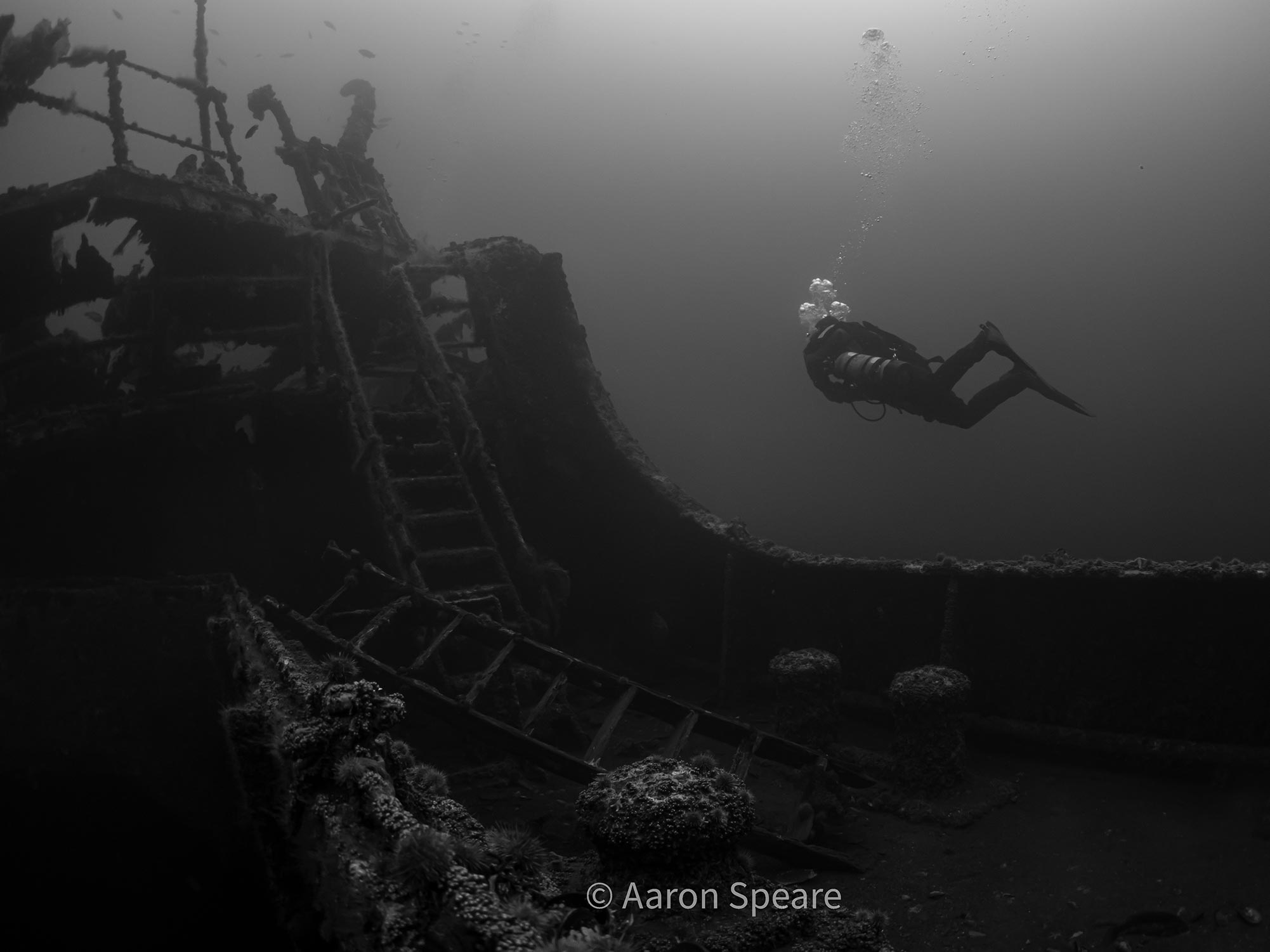 Customer Photos | Aaron Speare The History of Wreck PLM 27