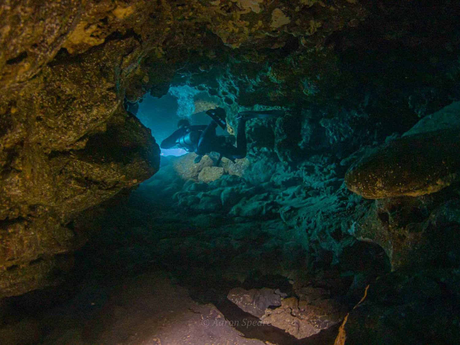 Shark's Cove: Cave Diving in Oahu, Hawaii