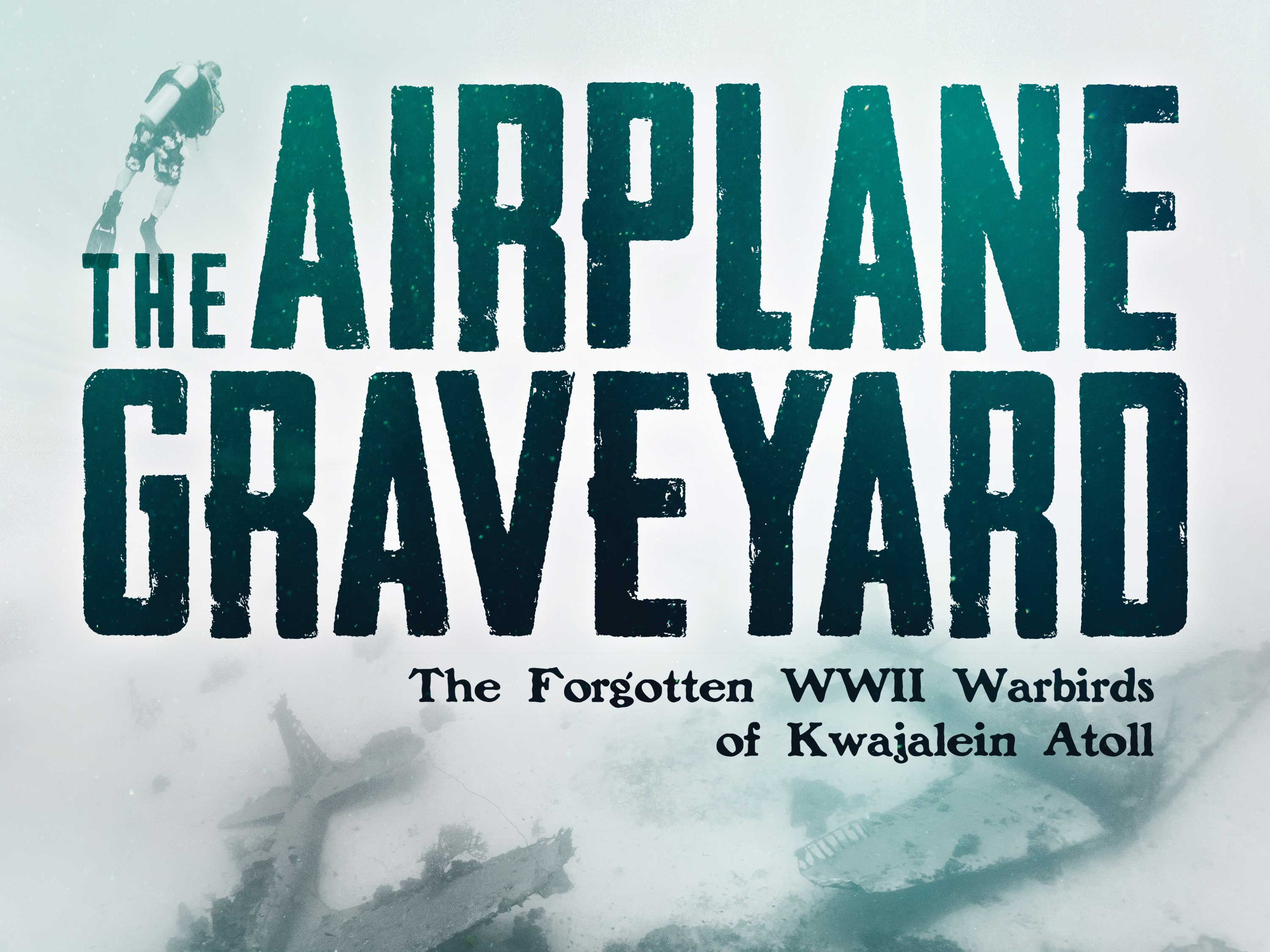 The Airplane Graveyard by Ambassador Brandi Mueller