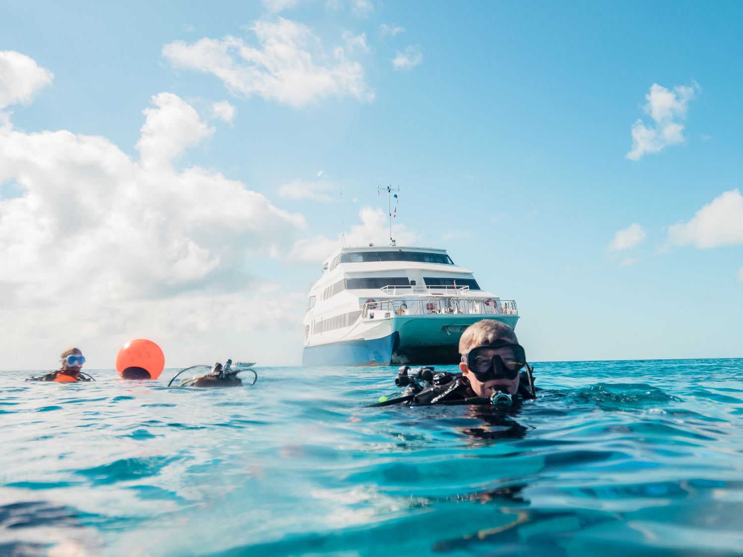 Aqua Cat Bahamas // Best Dive Liveaboards for Underwater Photography [VIDEO]