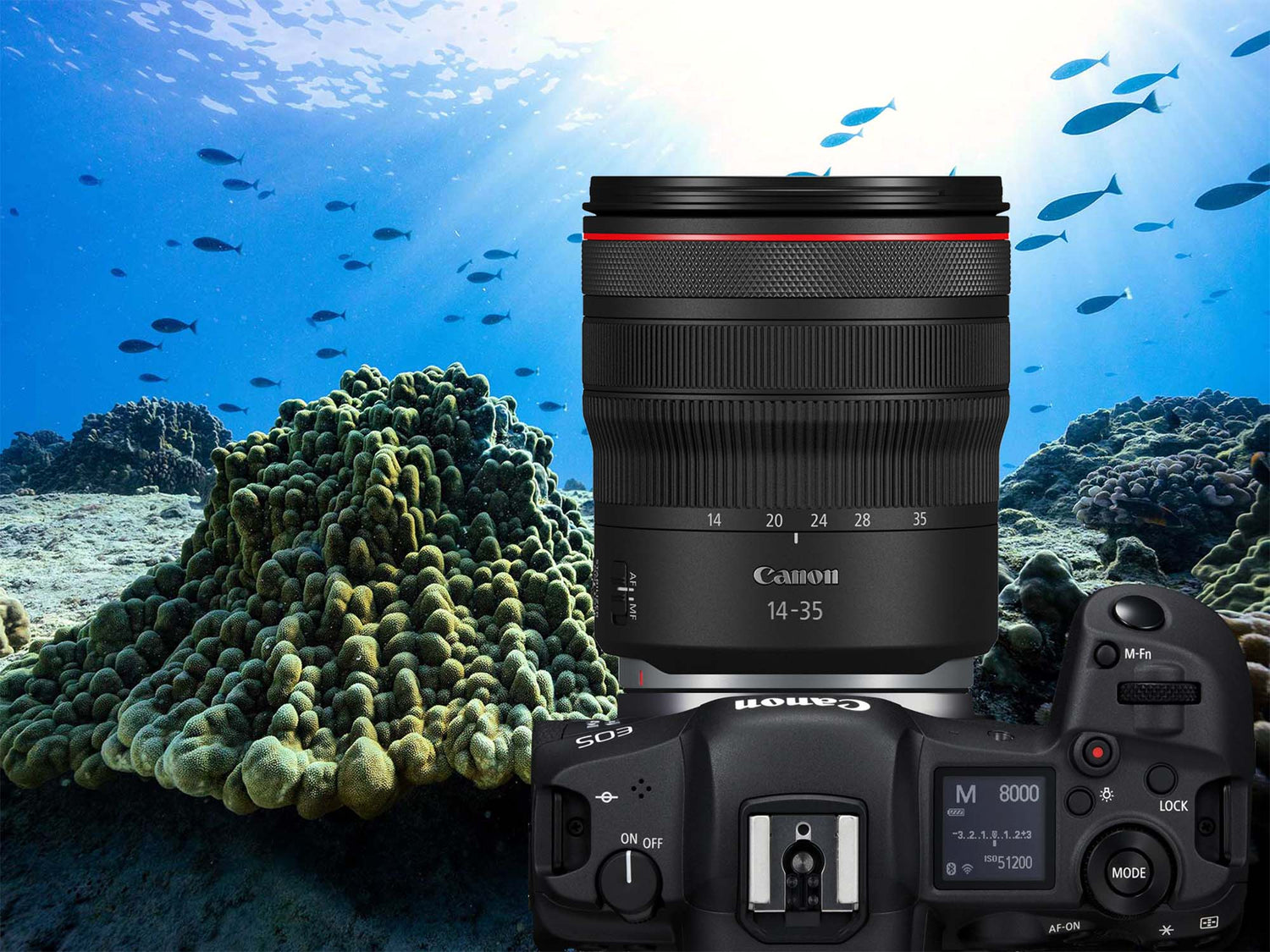 Canon RF 14-35mm f/4L Lens Underwater Review [VIDEO]