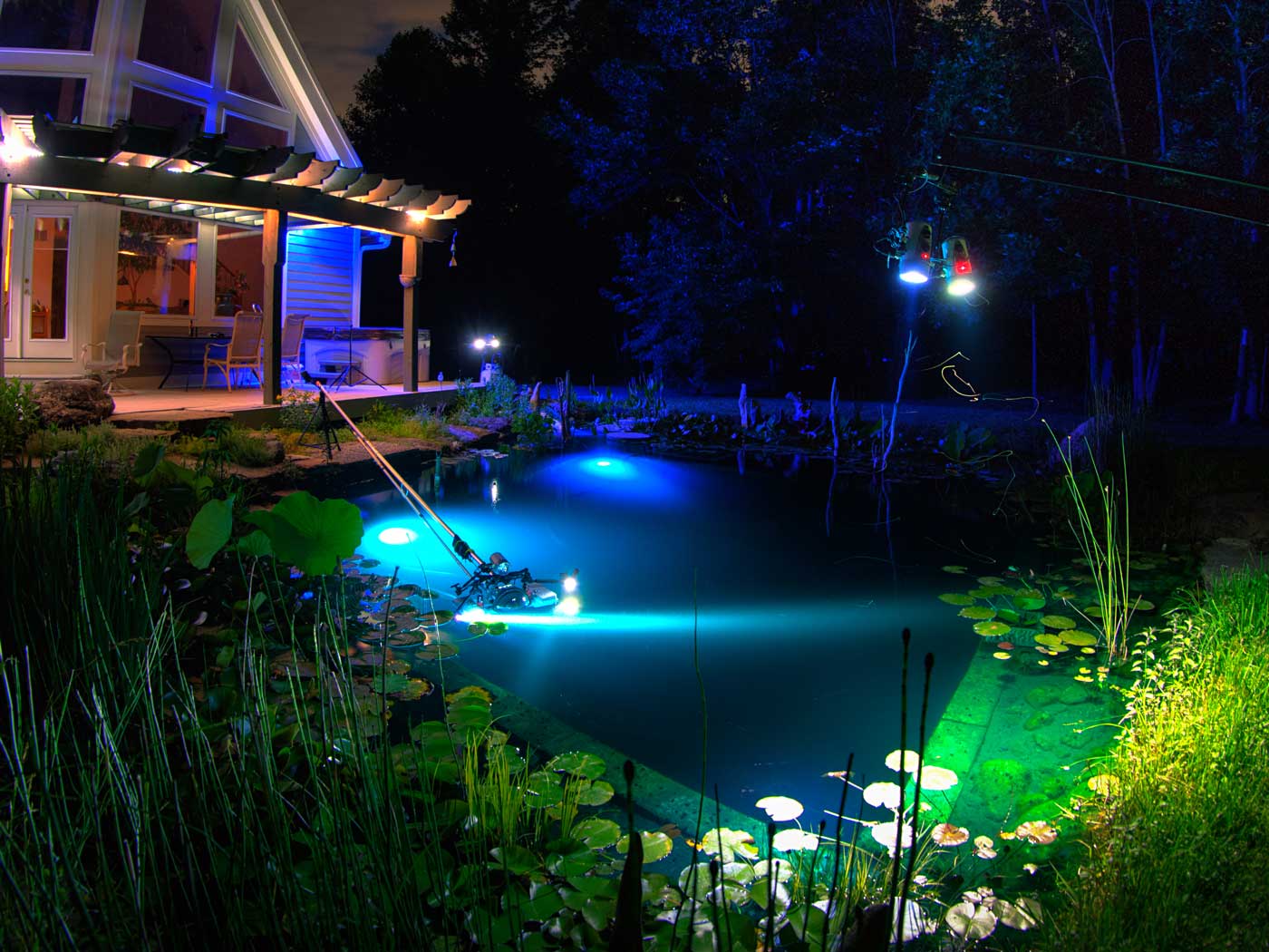 Backyard Natural Swimming Pool Studio Underwater Photos