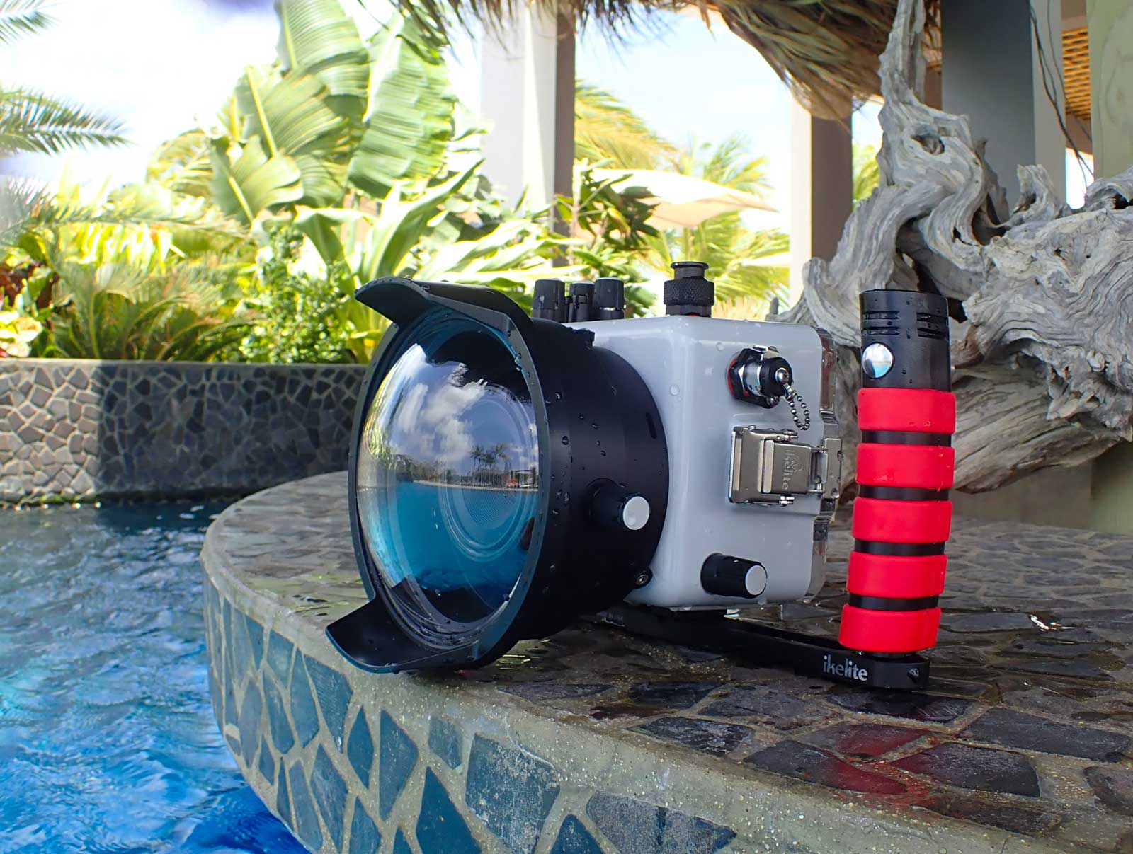 The Best Underwater Point-and-Shoot Camera Systems
