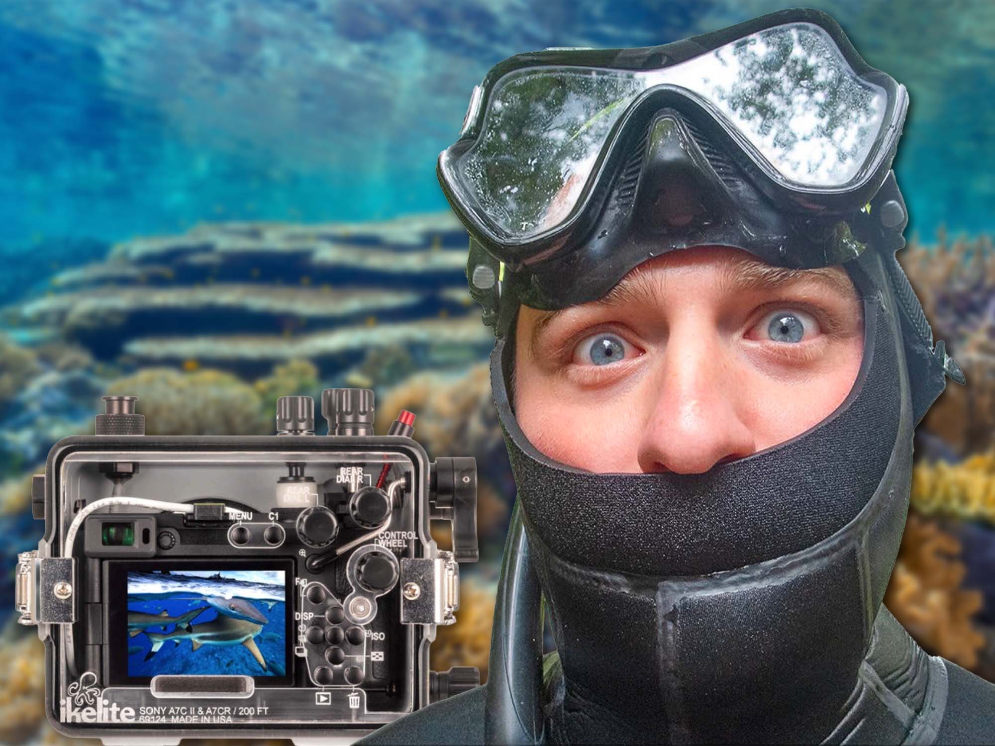 What's in My Underwater Photography Gear Bag // Bill Hawthorne 2026 [VIDEO]
