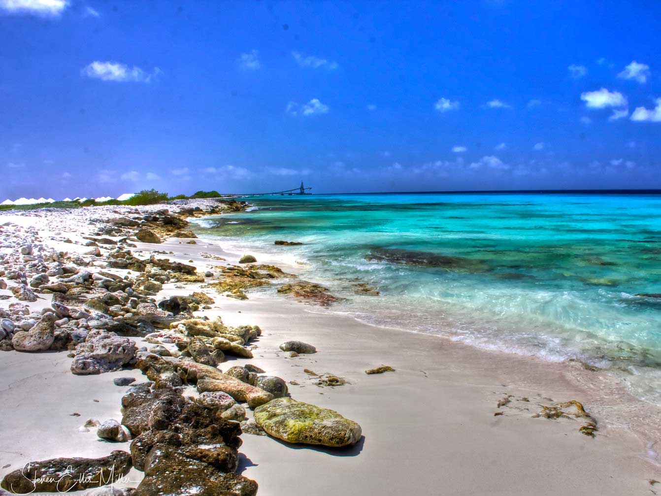 Planning a Shore Diving Trip to Bonaire