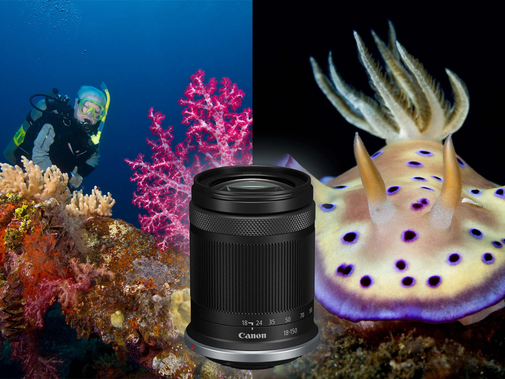 One Dive, One Lens // Canon RF-S 18-150mm Lens Review for Underwater [VIDEO]