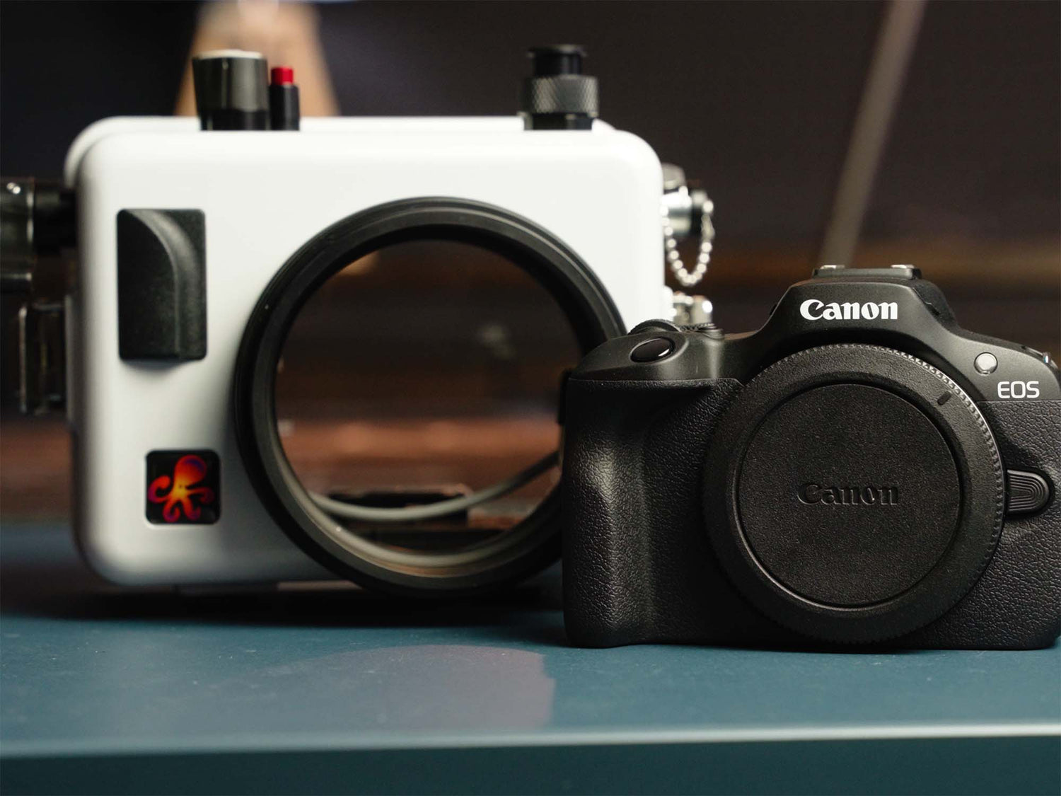 Canon EOS R100 Mirrorless Camera body