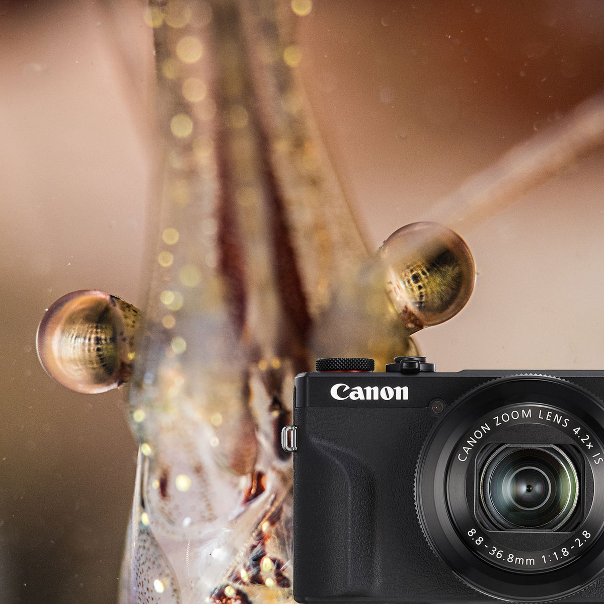 Camera Sample Images Canon Powershot G5 X Mark Ii Sample Photos