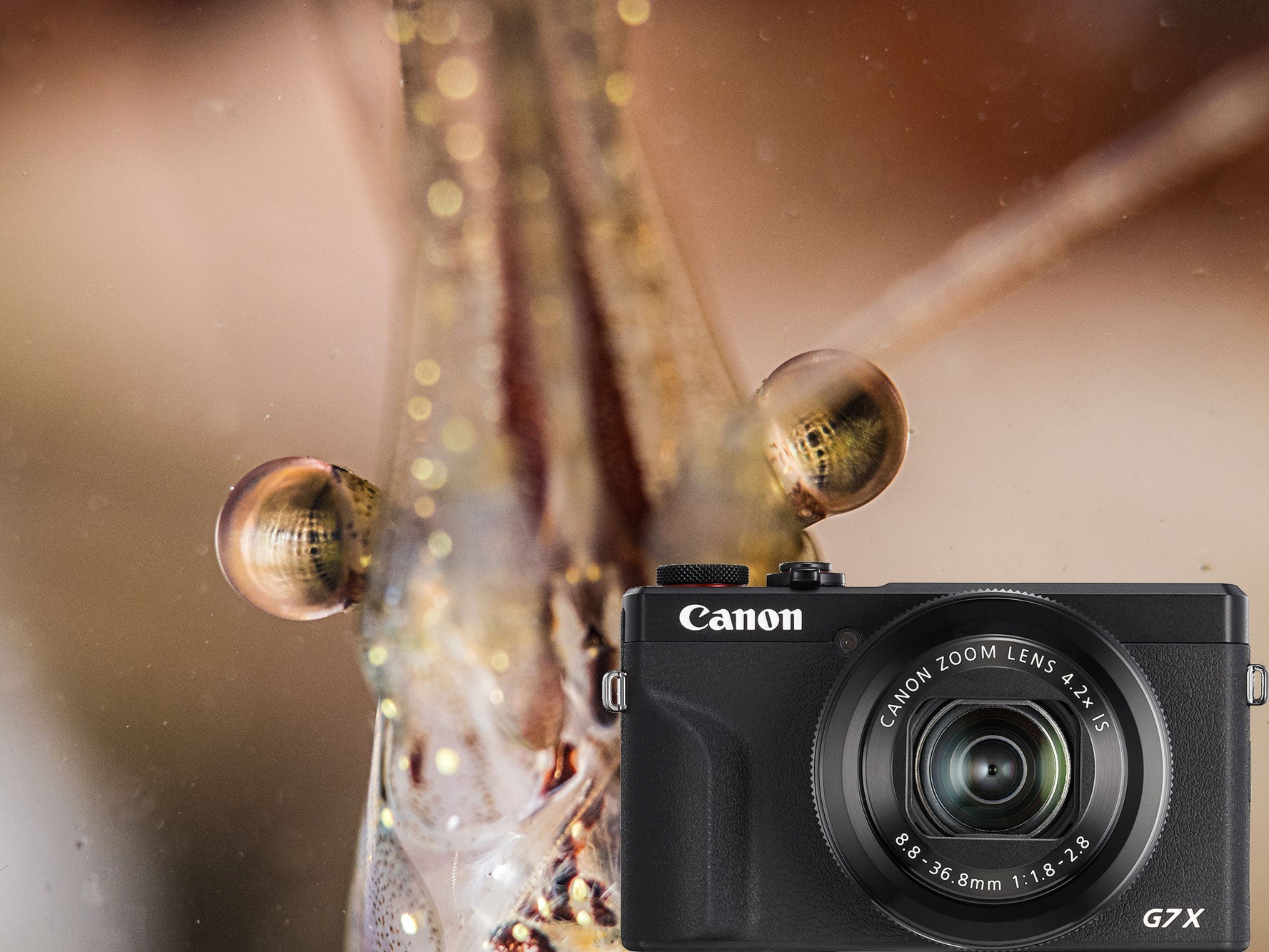 Canon PowerShot G7 X III Underwater Photos