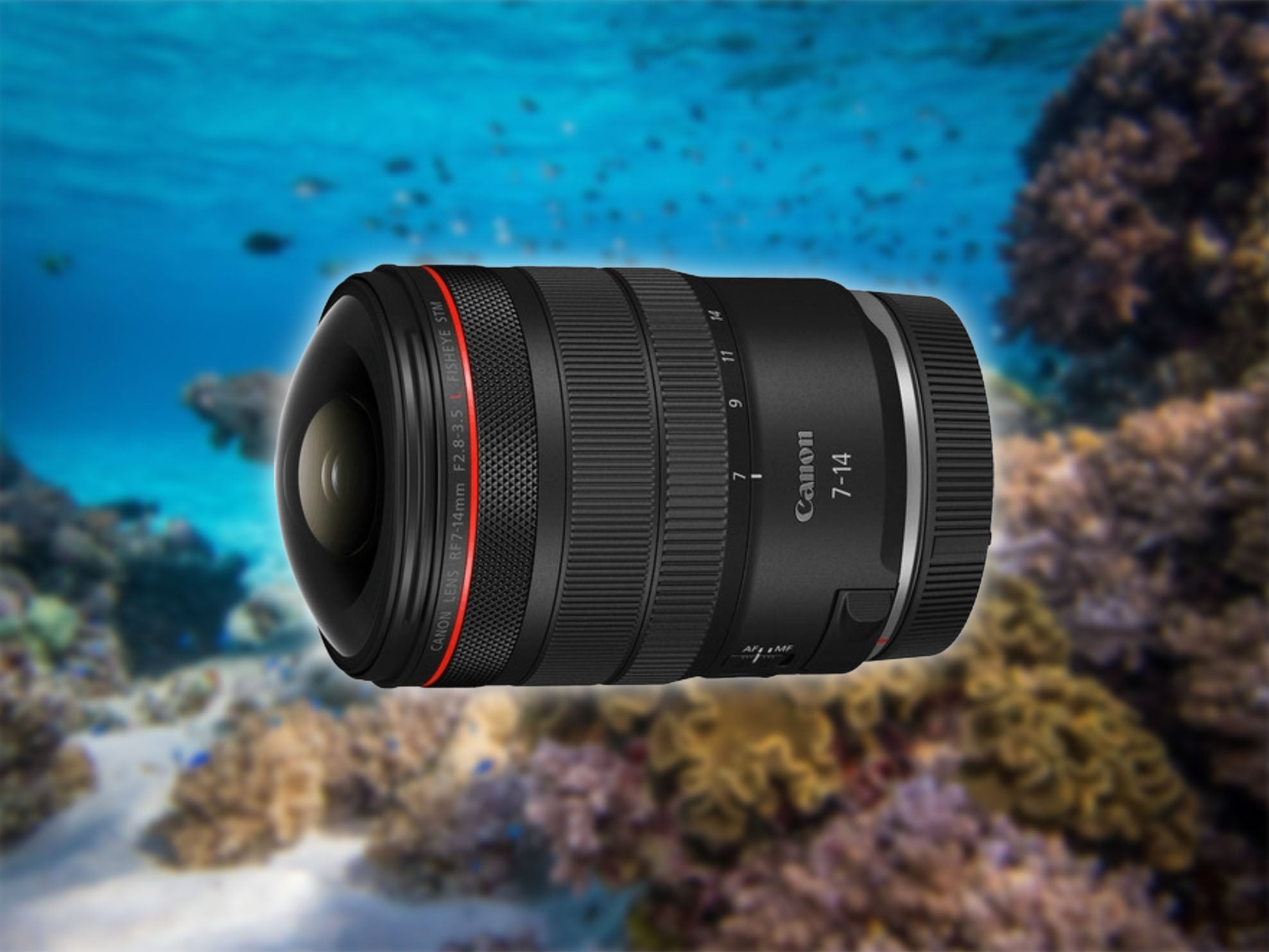 Canon RF 7-14mm Lens News Updated from Ikelite Underwater Systems