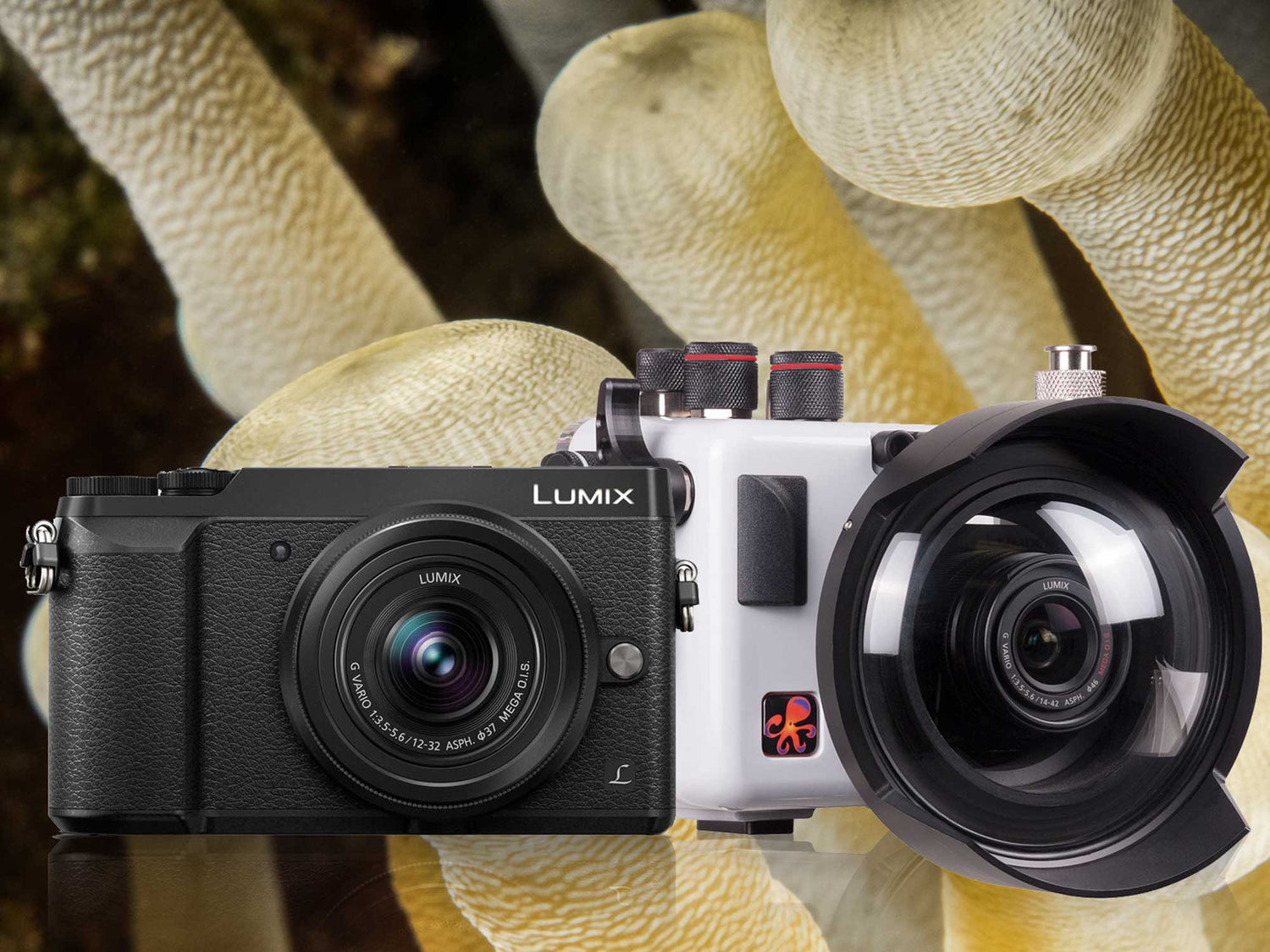 Panasonic Lumix GX85 Underwater Housing &