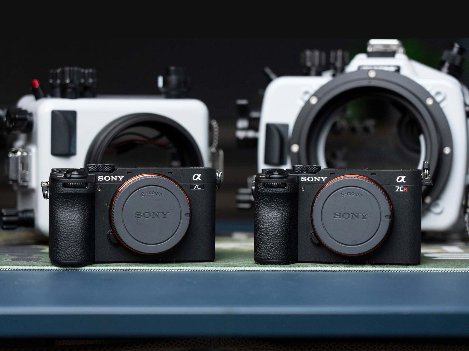 Choosing an Underwater Housing for the Sony a7C II or a7CR