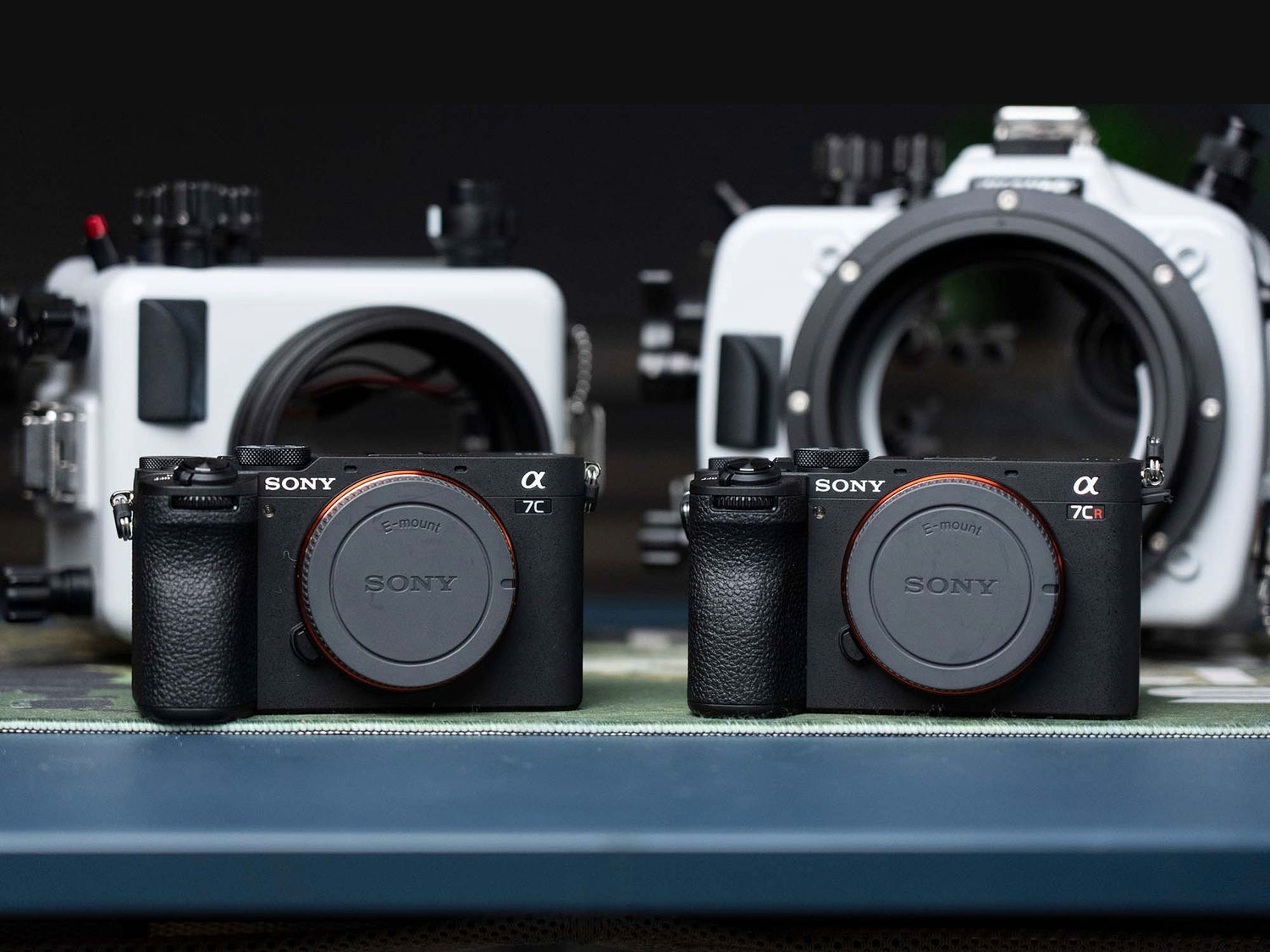 SONY A7C II versus SONY A7 IV versus SONY A7C