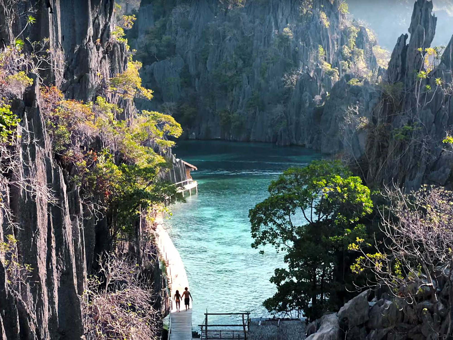 What Makes Diving in the Philippines Unique? [VIDEO]