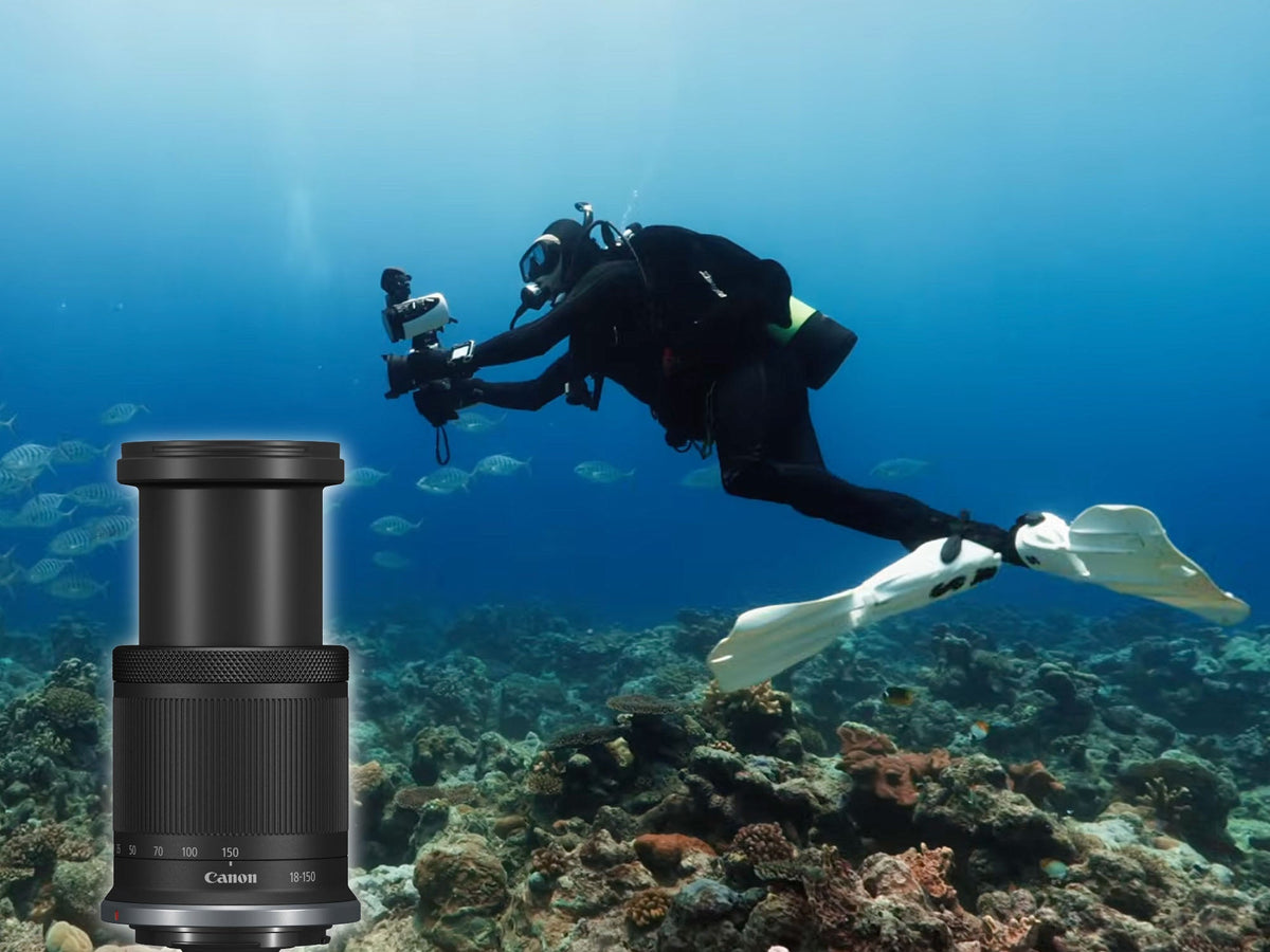 Canon 18-150mm lens with Canon R7 inside an Ikelite 200DLM Underwater Housing by Doug Klug