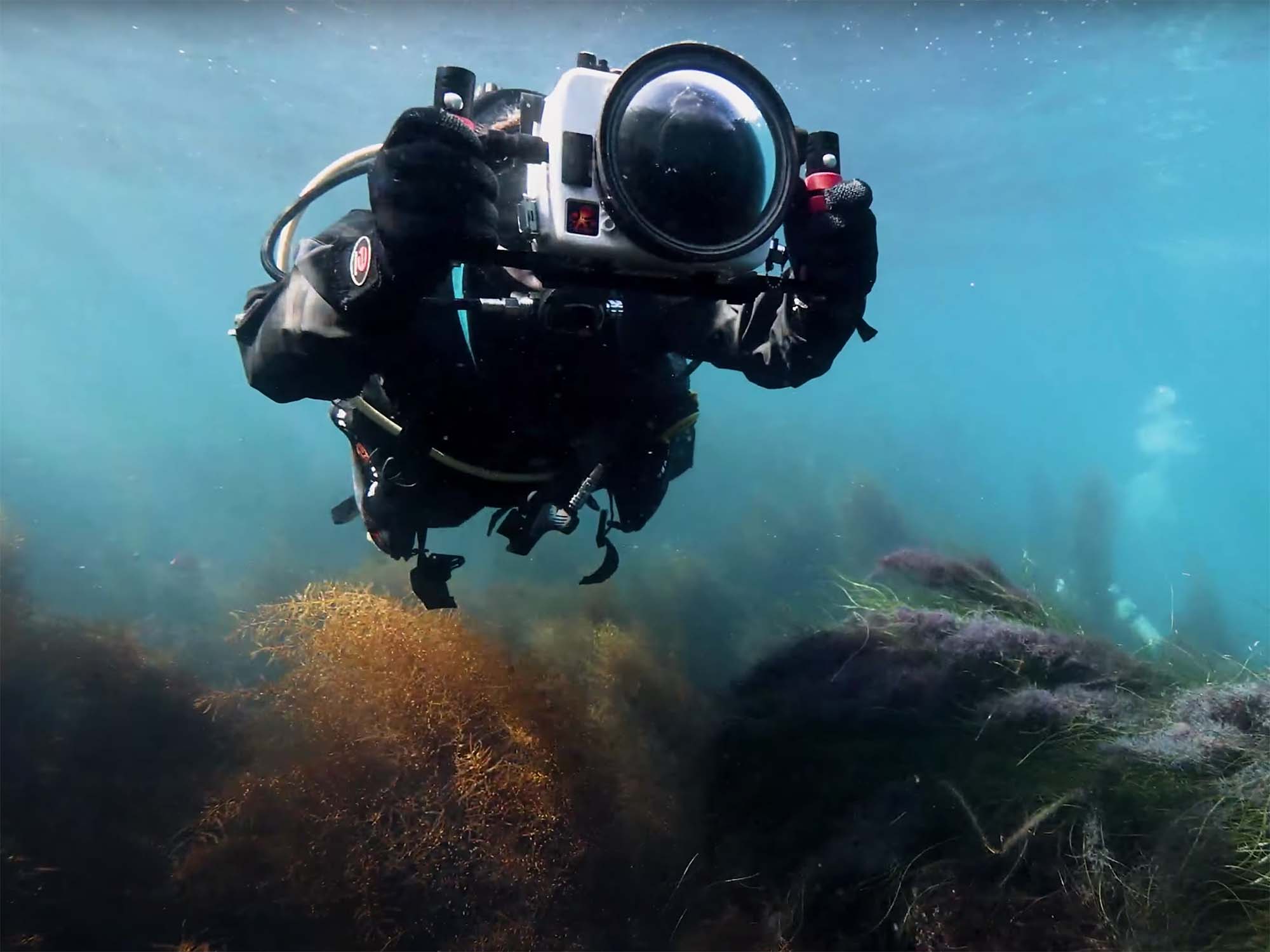 My Journey from Underwater Stills to Video