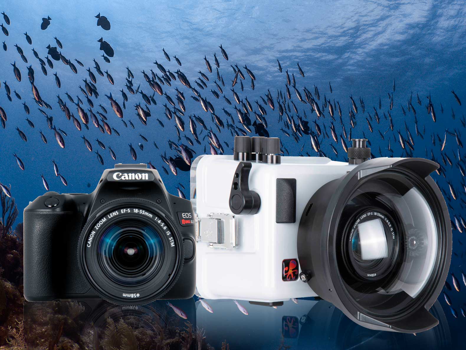 First Look Canon EOS Rebel SL3 250D Underwater Housing